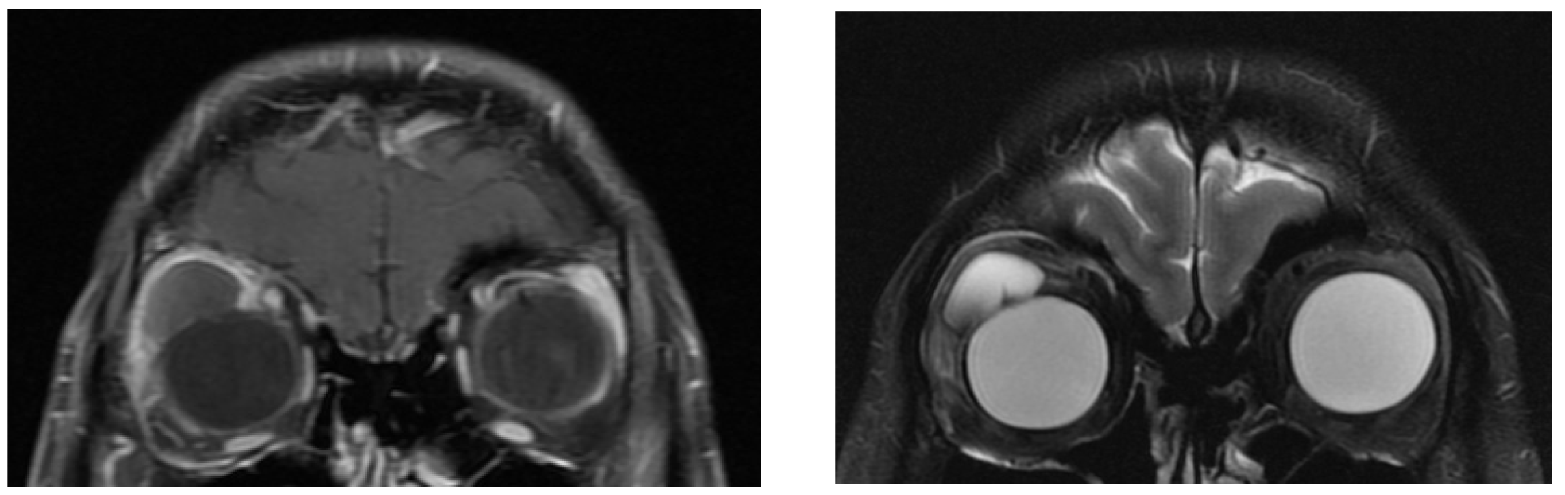 Jpm 12 00629 g003 550