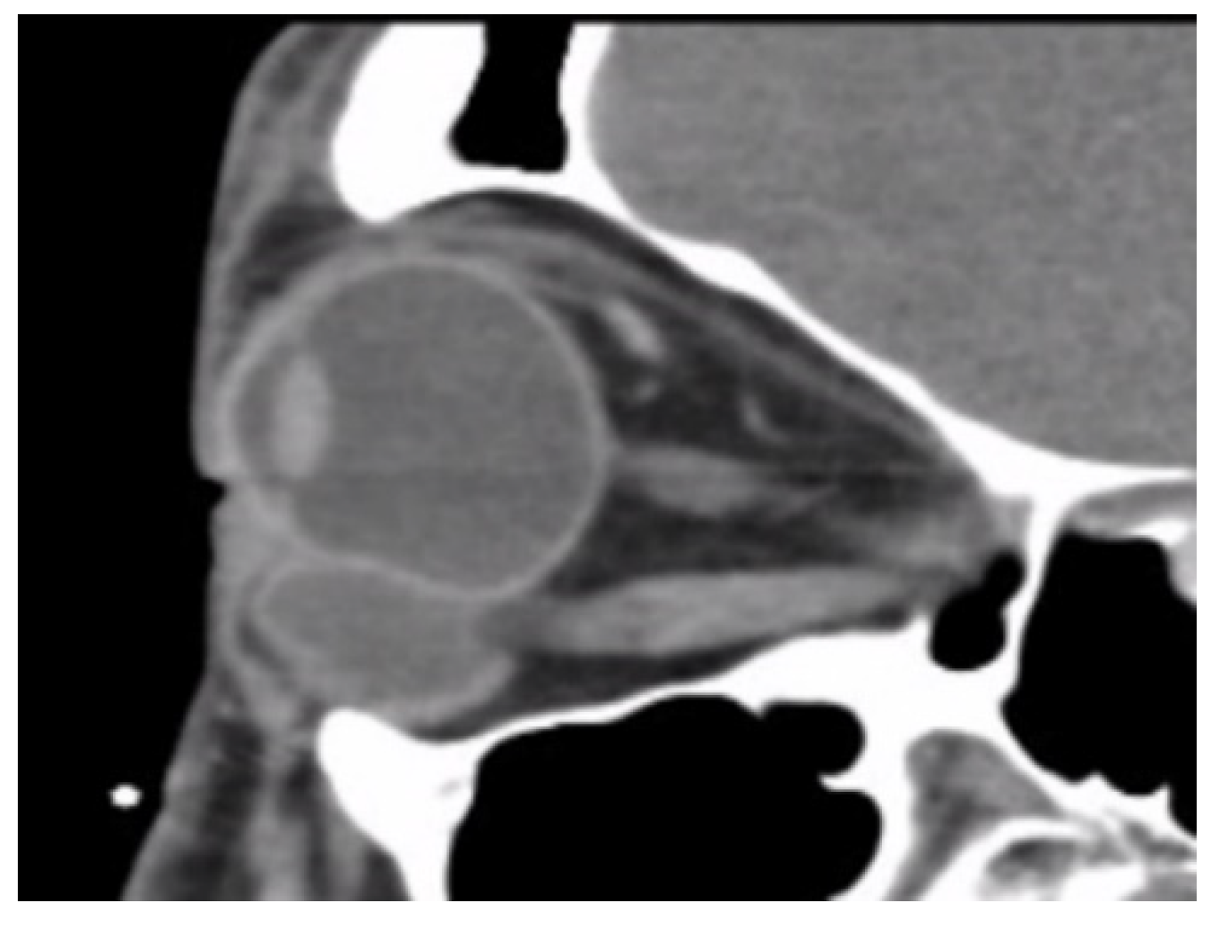 Jpm 12 00629 g004 550