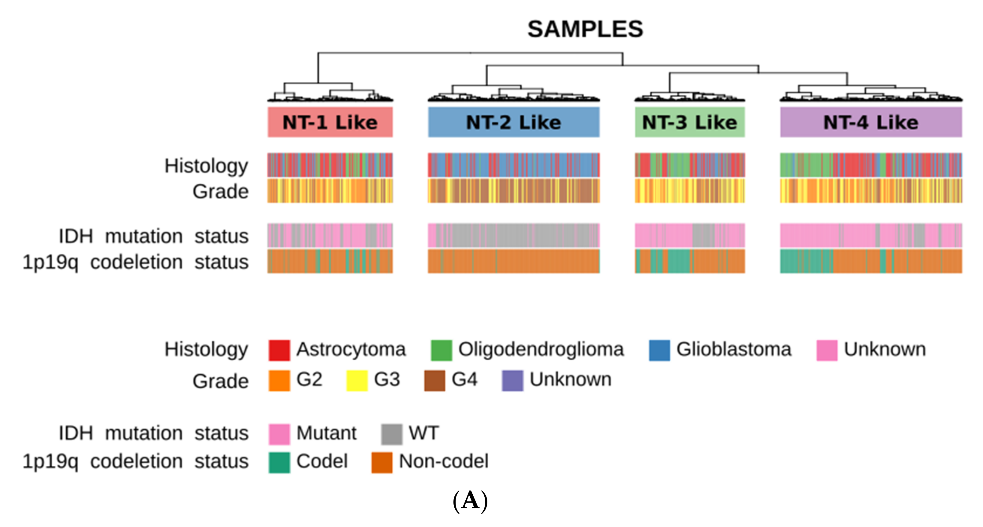 Jpm 12 00633 g008a 550