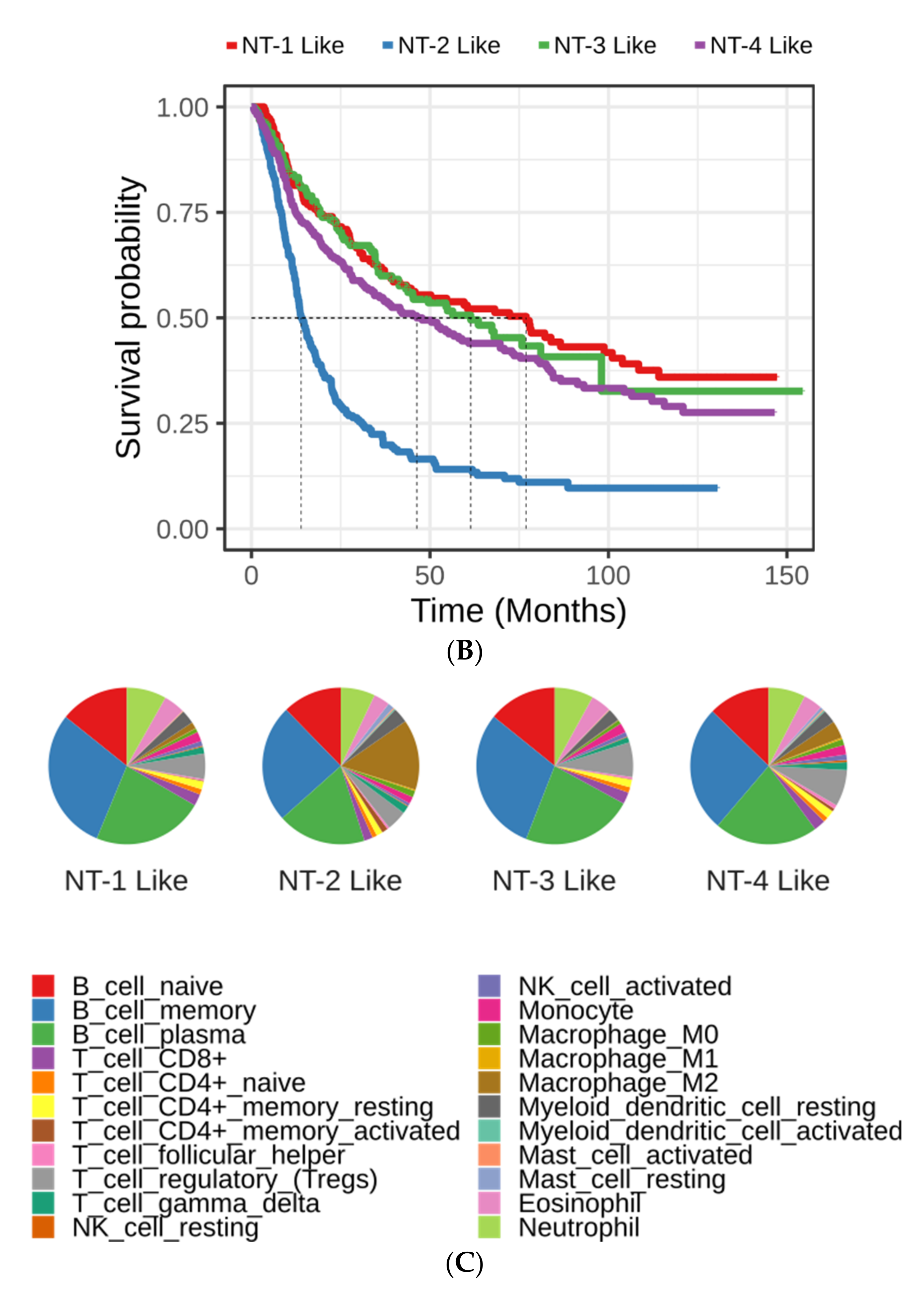 Jpm 12 00633 g008b 550