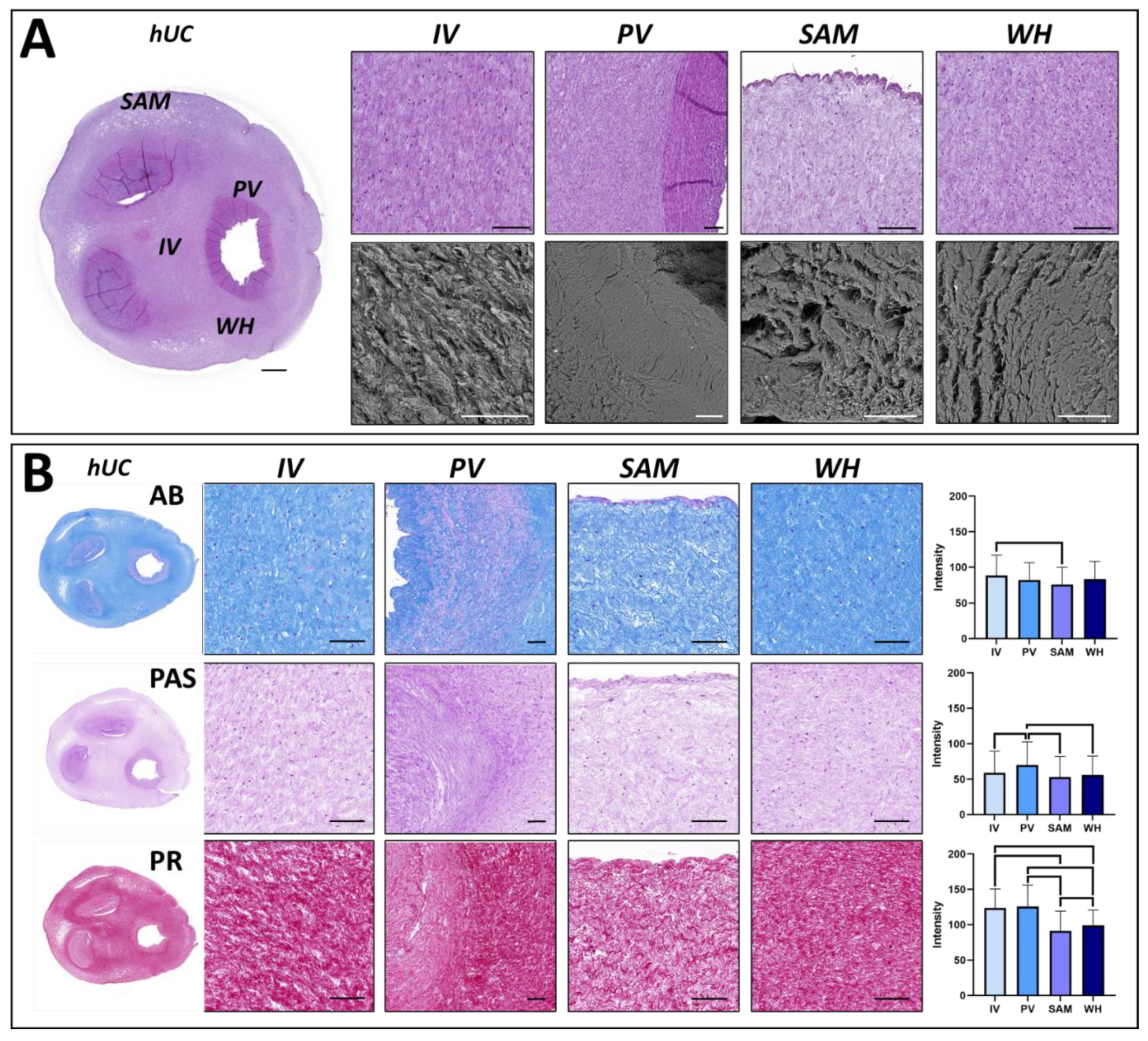 Jpm 12 00648 g001 550