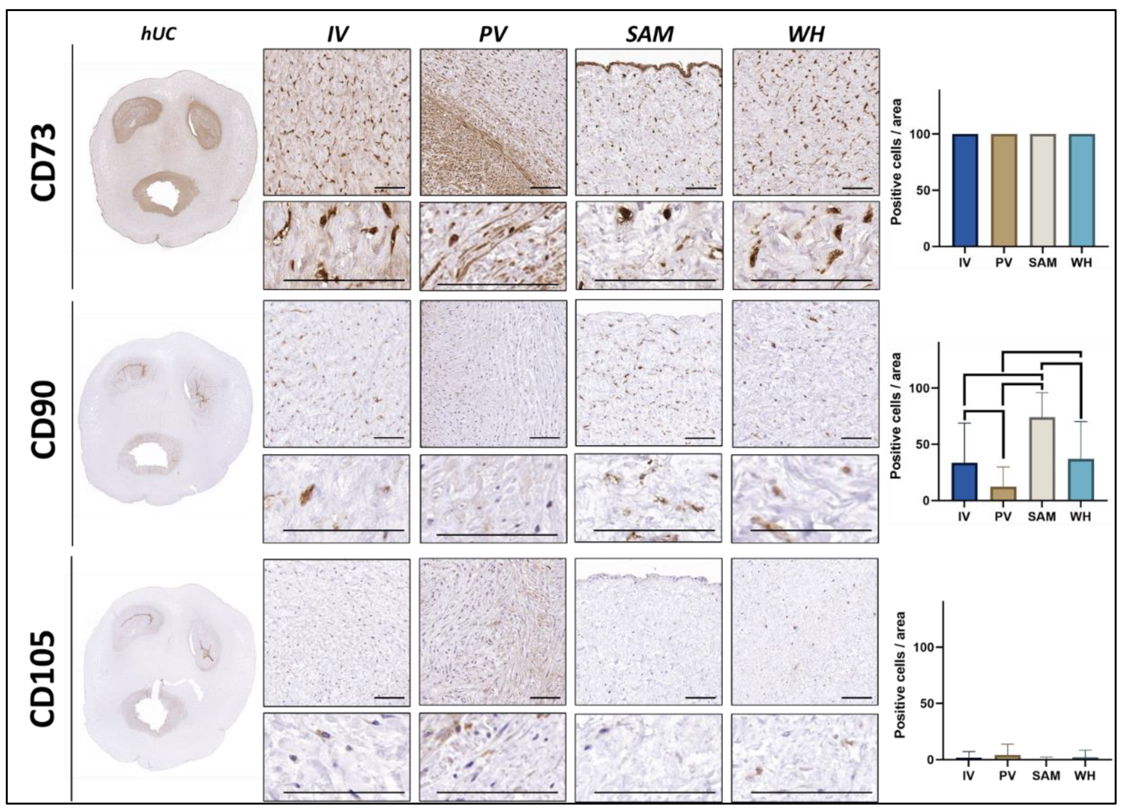 Jpm 12 00648 g002 550
