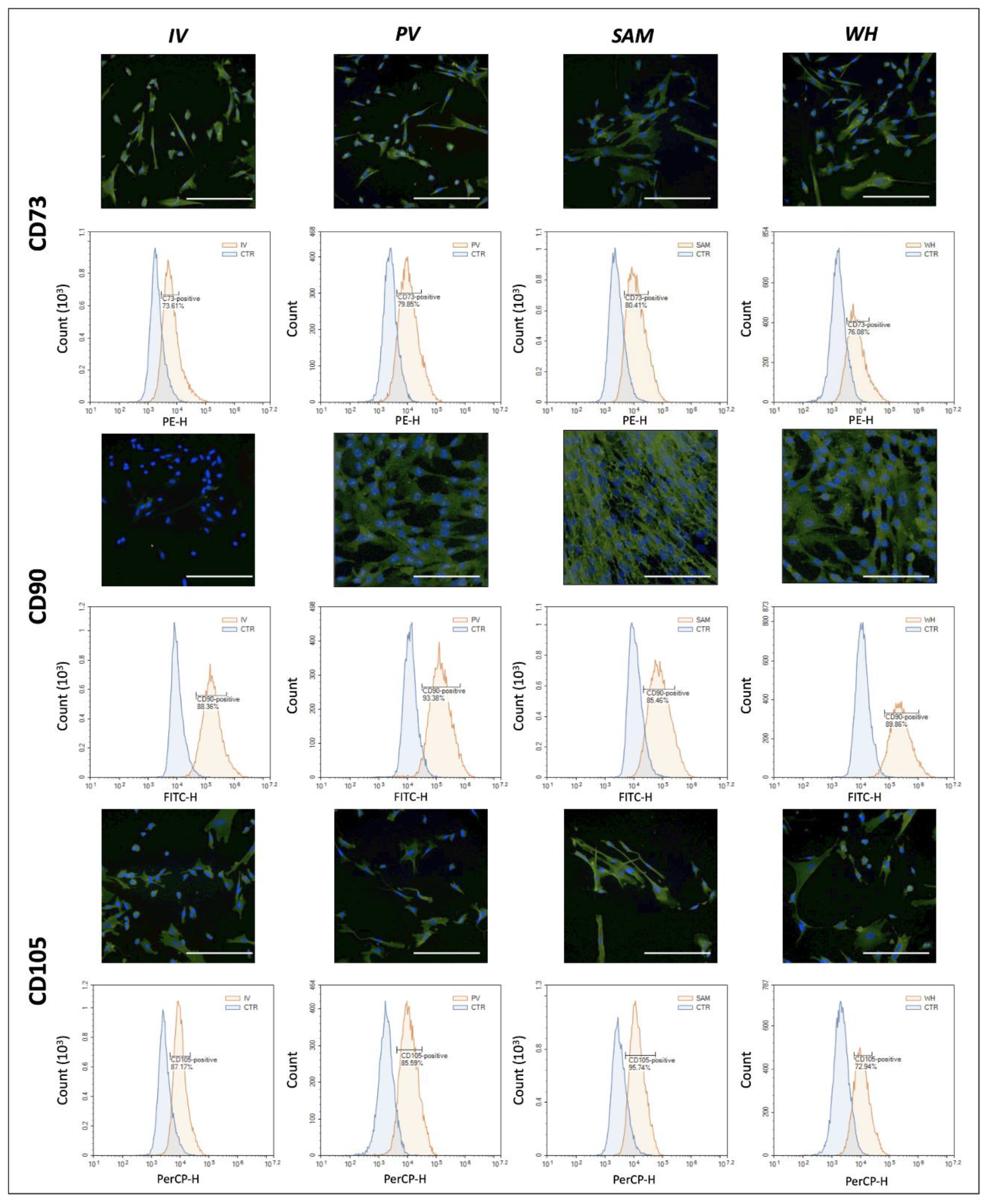 Jpm 12 00648 g003 550