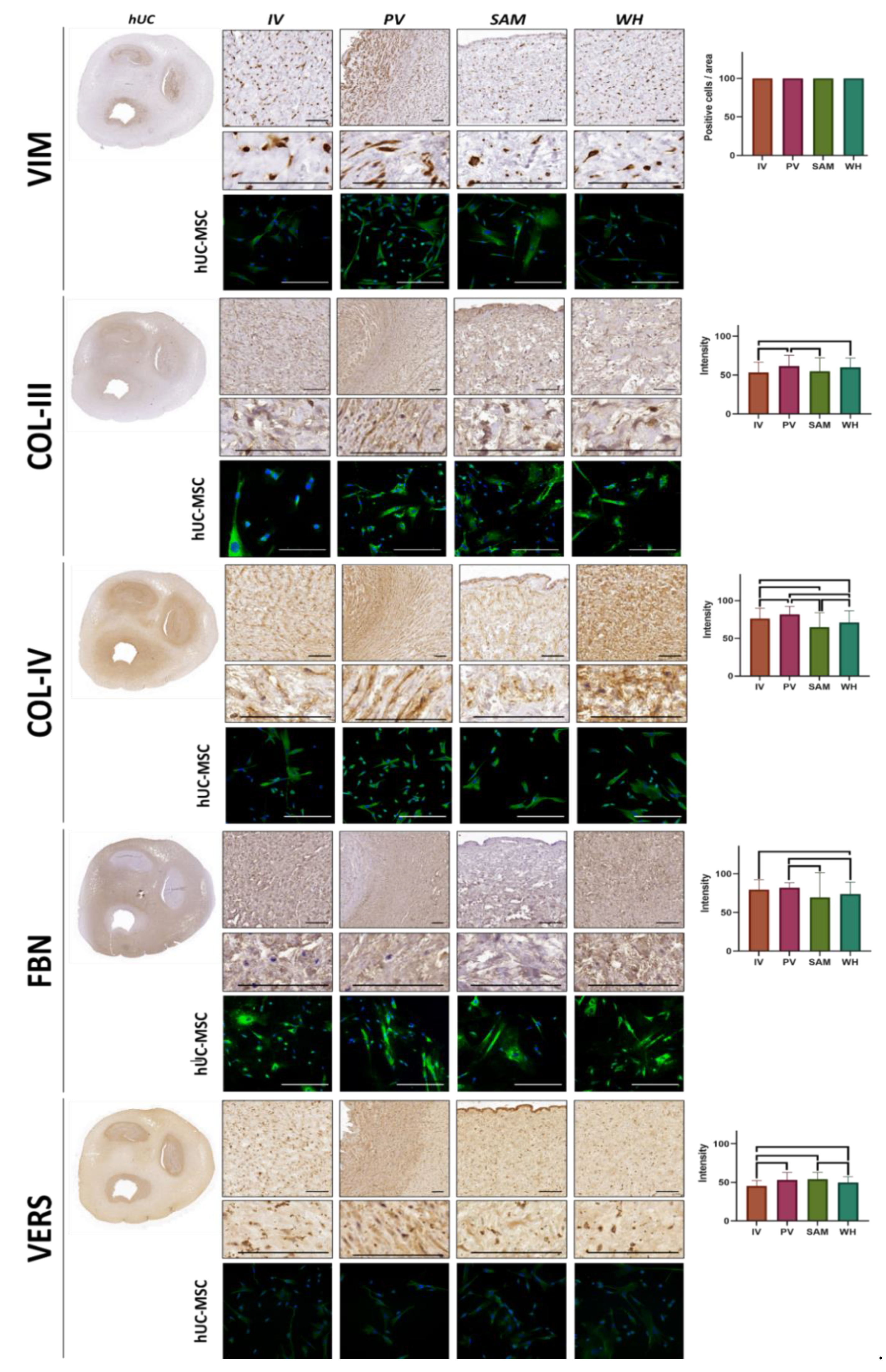 Jpm 12 00648 g004 550