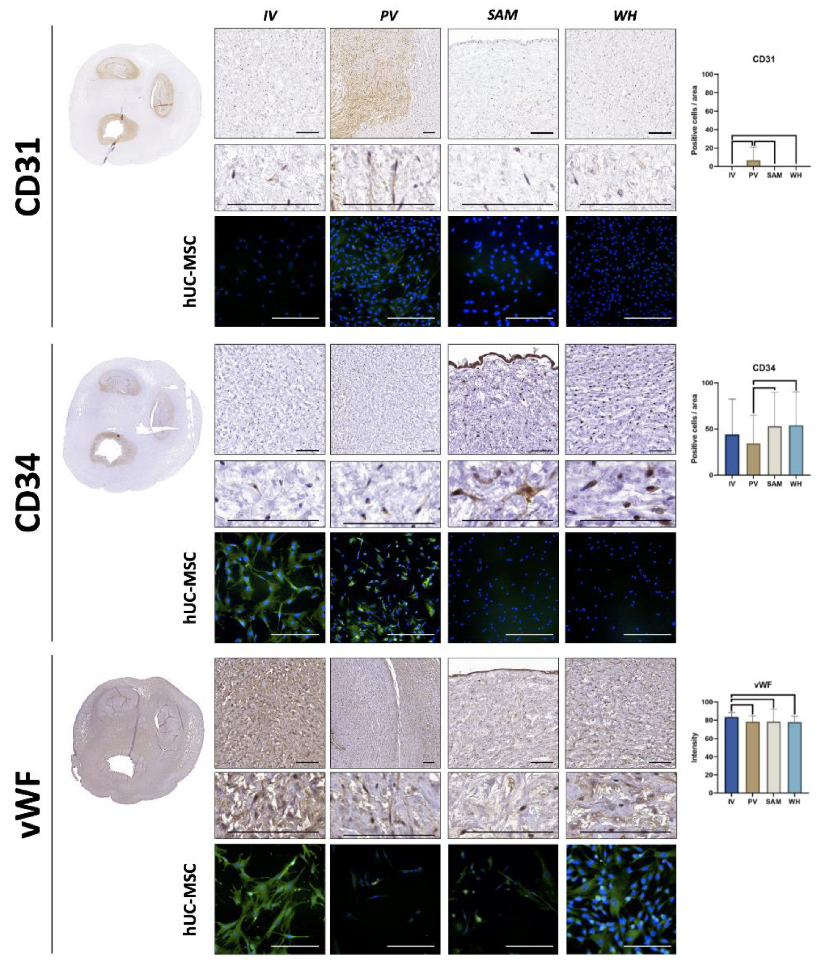 Jpm 12 00648 g005 550