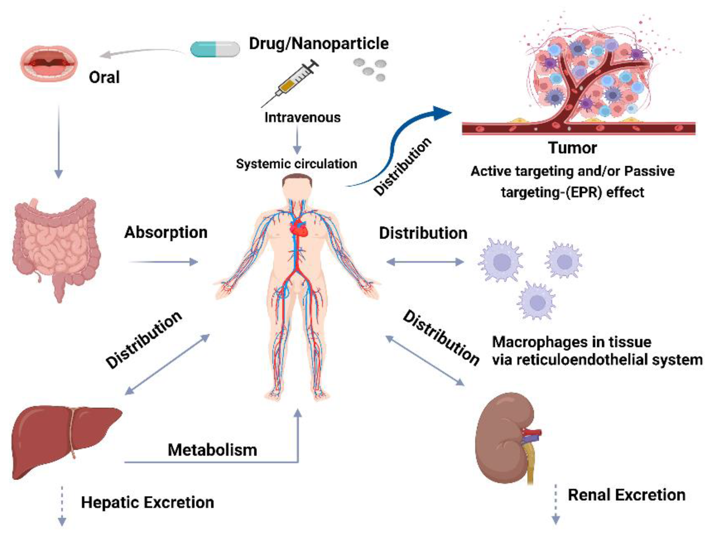 Jpm 12 00673 g003 Jpm 12 00673 g003