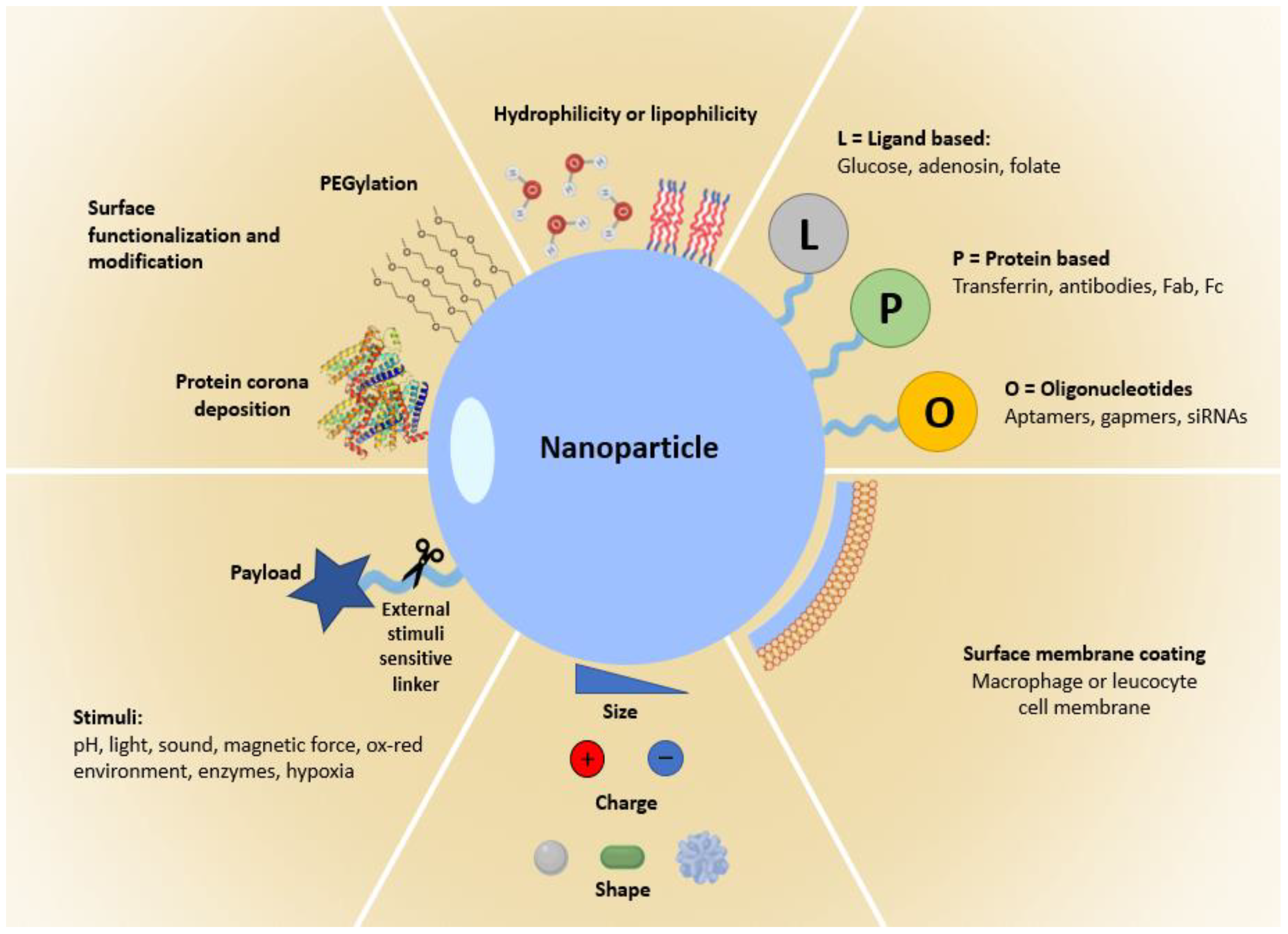 The Promise of Nanotechnology in Personalized Medicine
