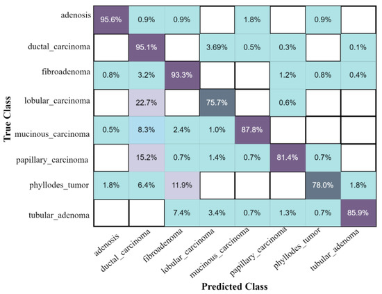 Multi-Class Classification of Breast Cancer Using 6B-Net with Deep