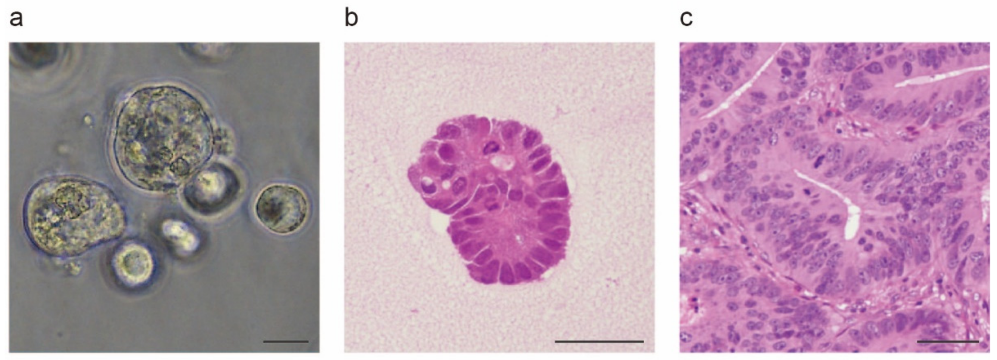 Jpm 12 00695 g001 Jpm 12 00695 g001