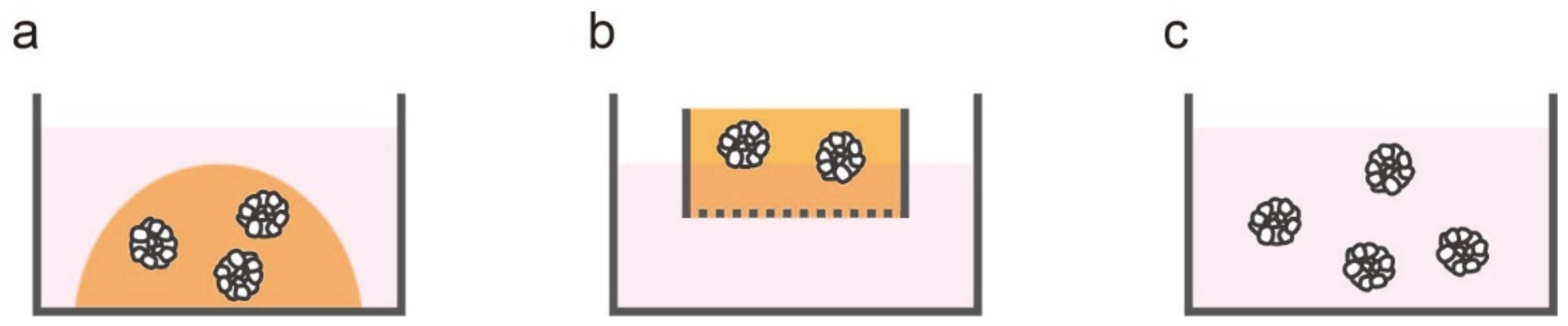 Jpm 12 00695 g002 Jpm 12 00695 g002