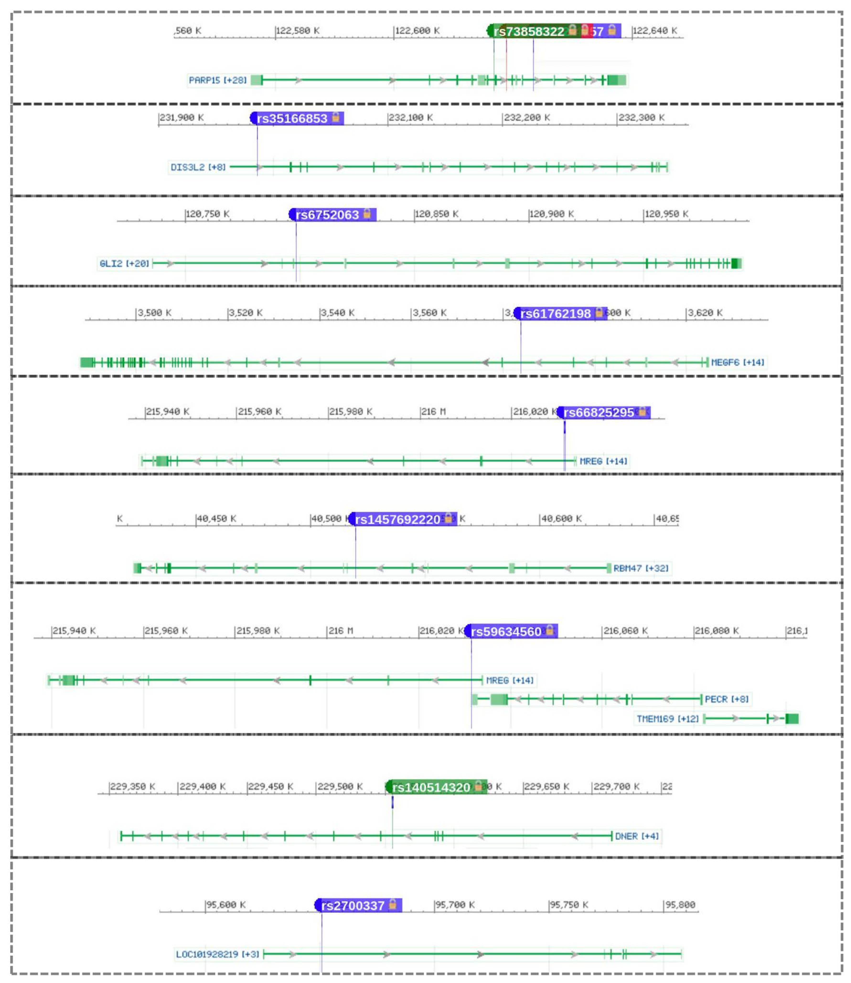 Jpm 12 00722 g006 Jpm 12 00722 g006