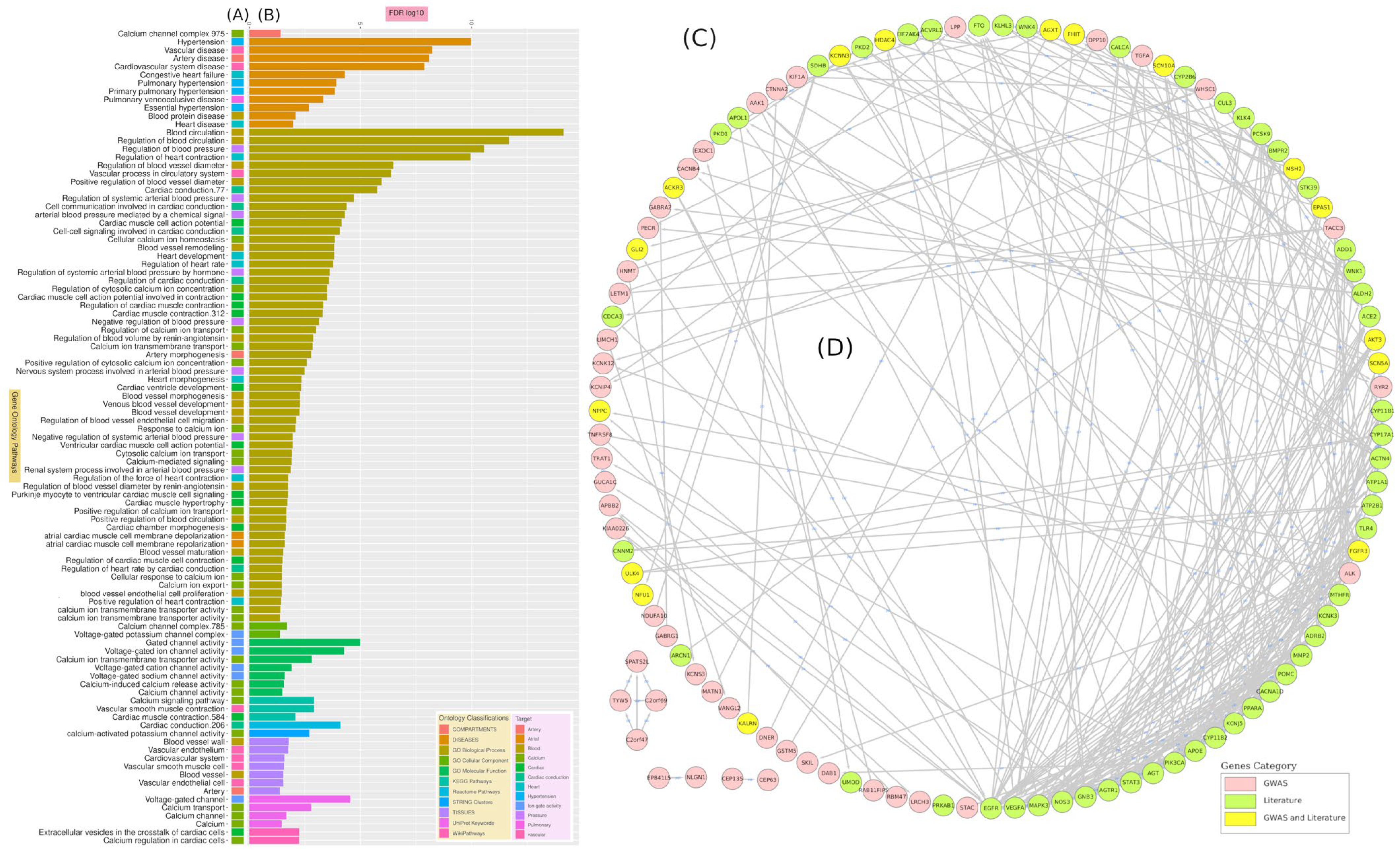 Jpm 12 00722 g007 Jpm 12 00722 g007