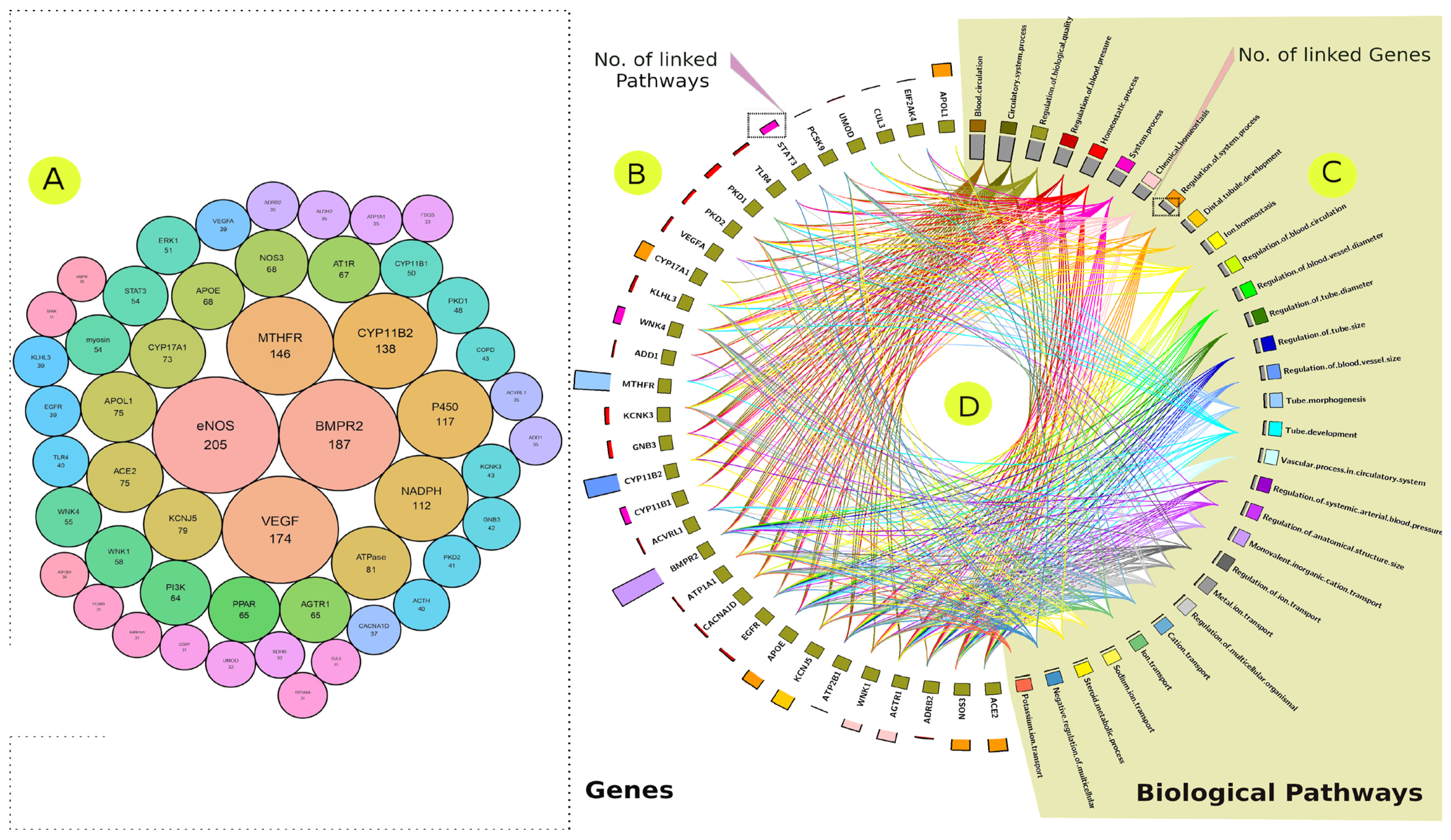 Jpm 12 00722 g009 Jpm 12 00722 g009