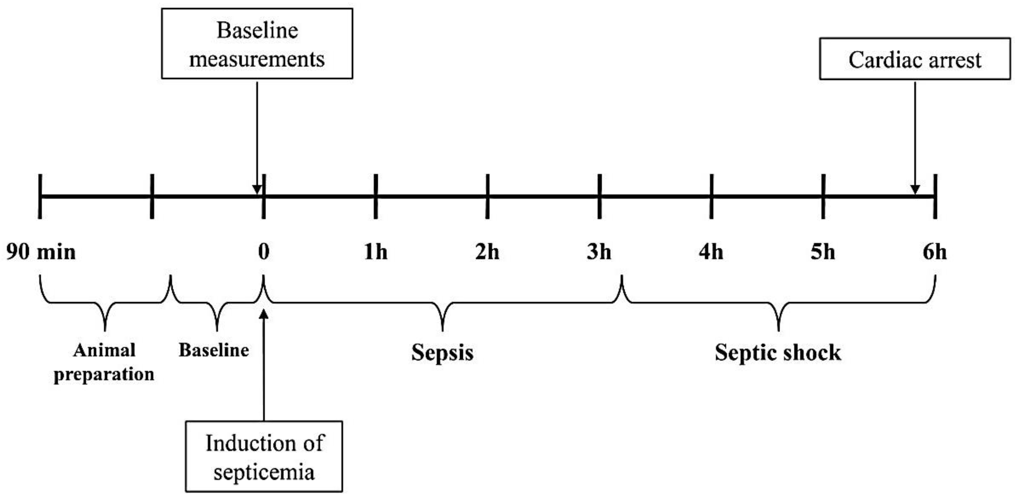 Jpm 12 00724 g001 Jpm 12 00724 g001