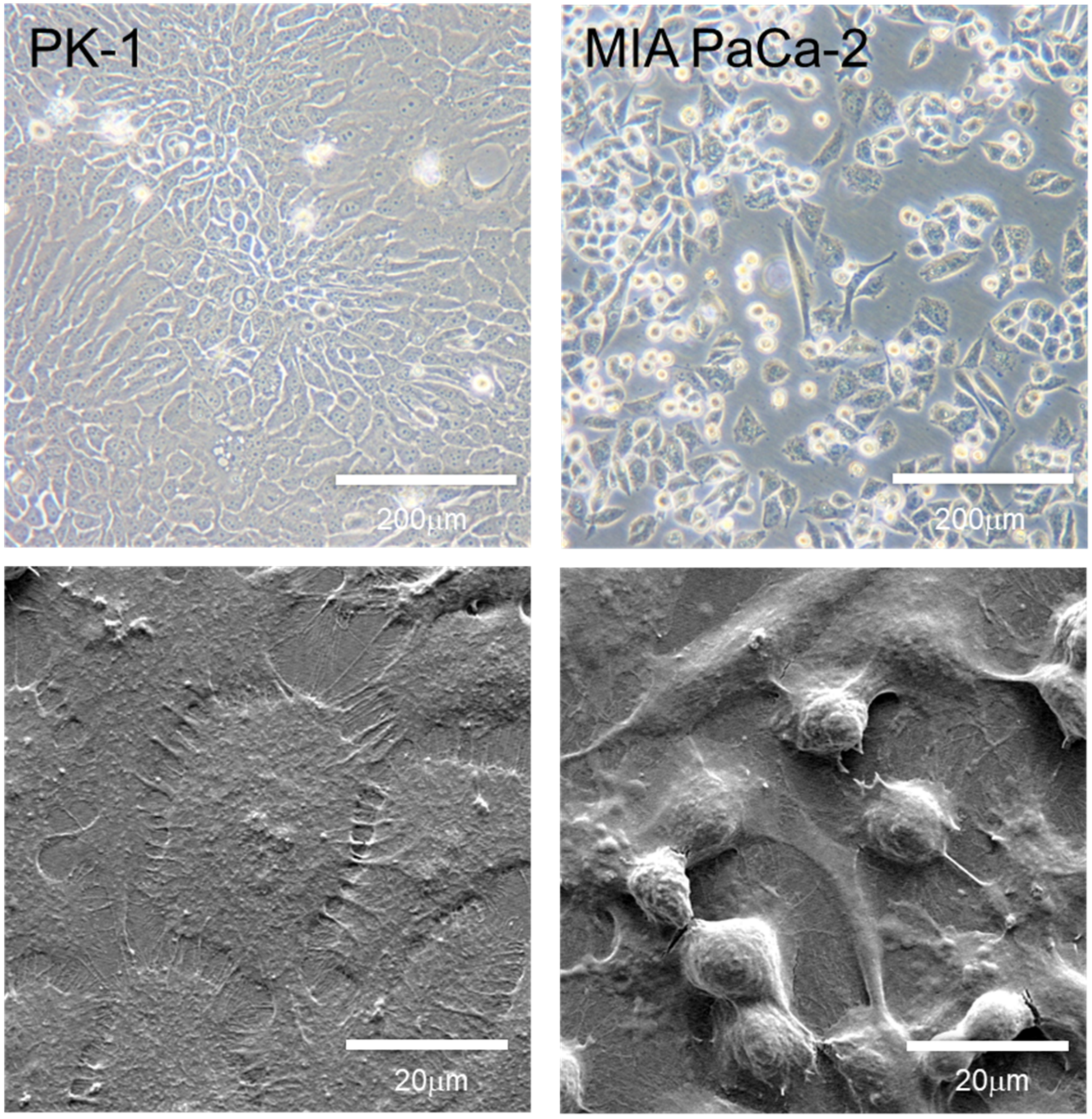 Jpm 12 00746 g002 550
