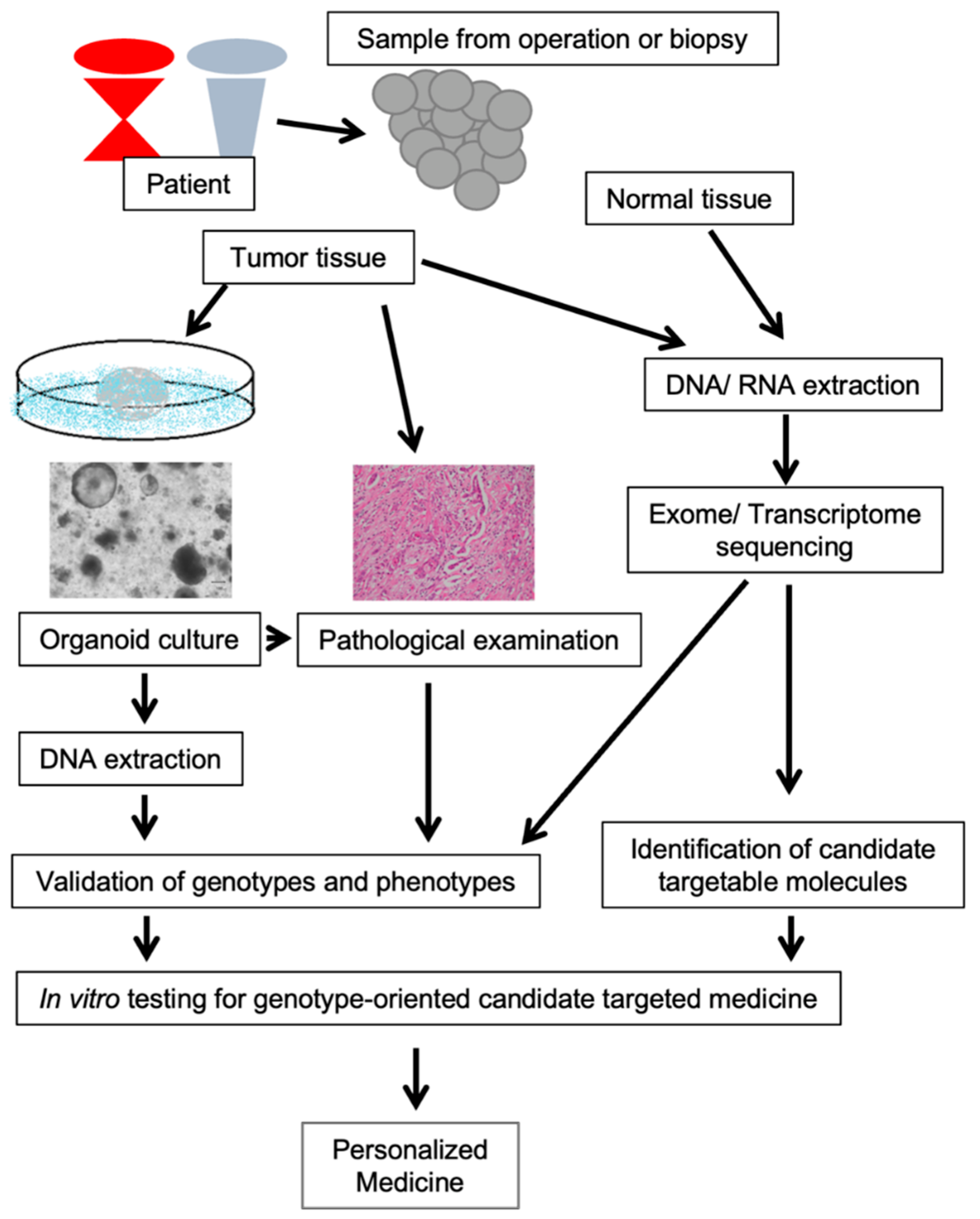 Jpm 12 00789 g002 550