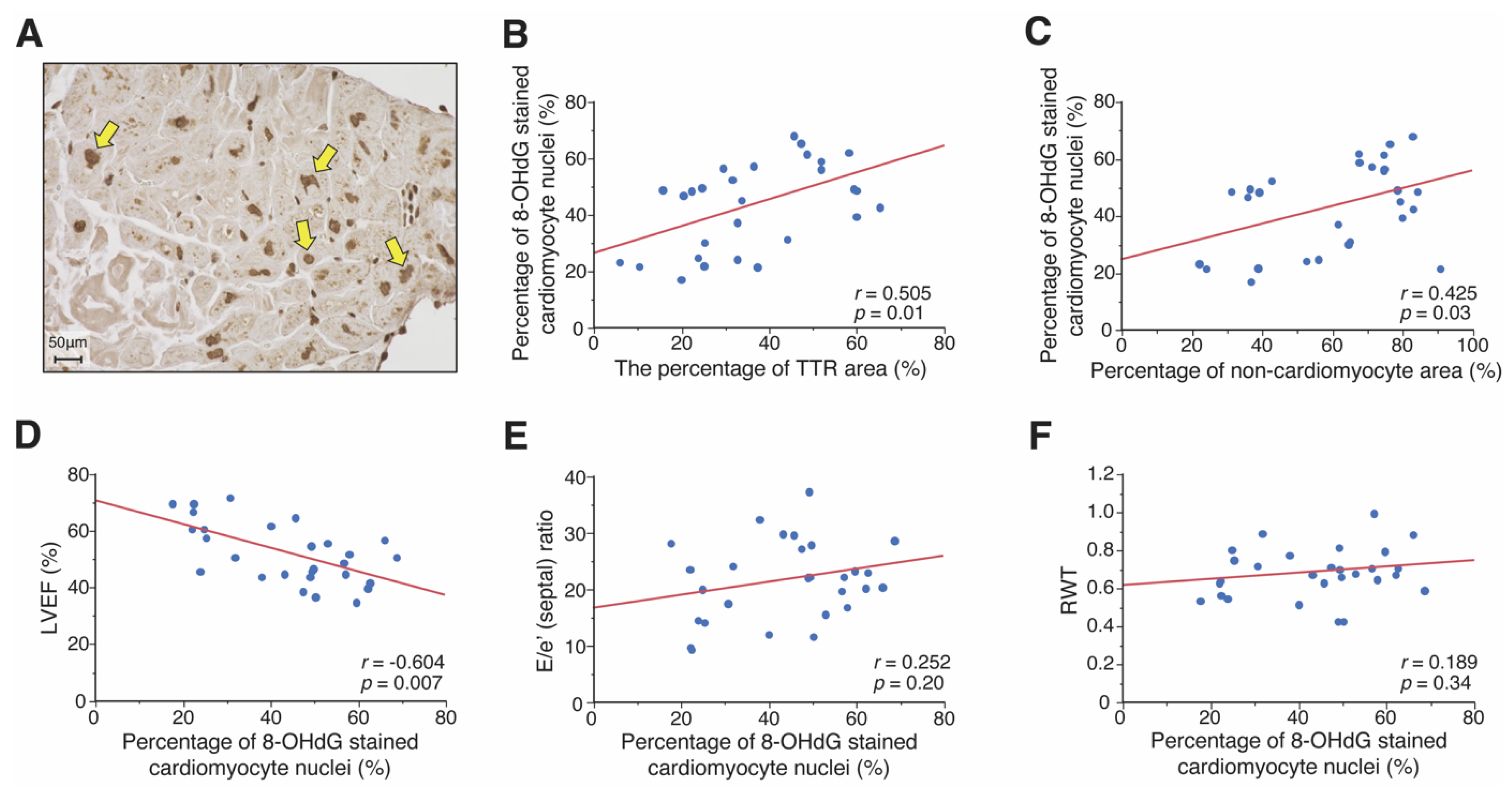 Jpm 12 00792 g003 550