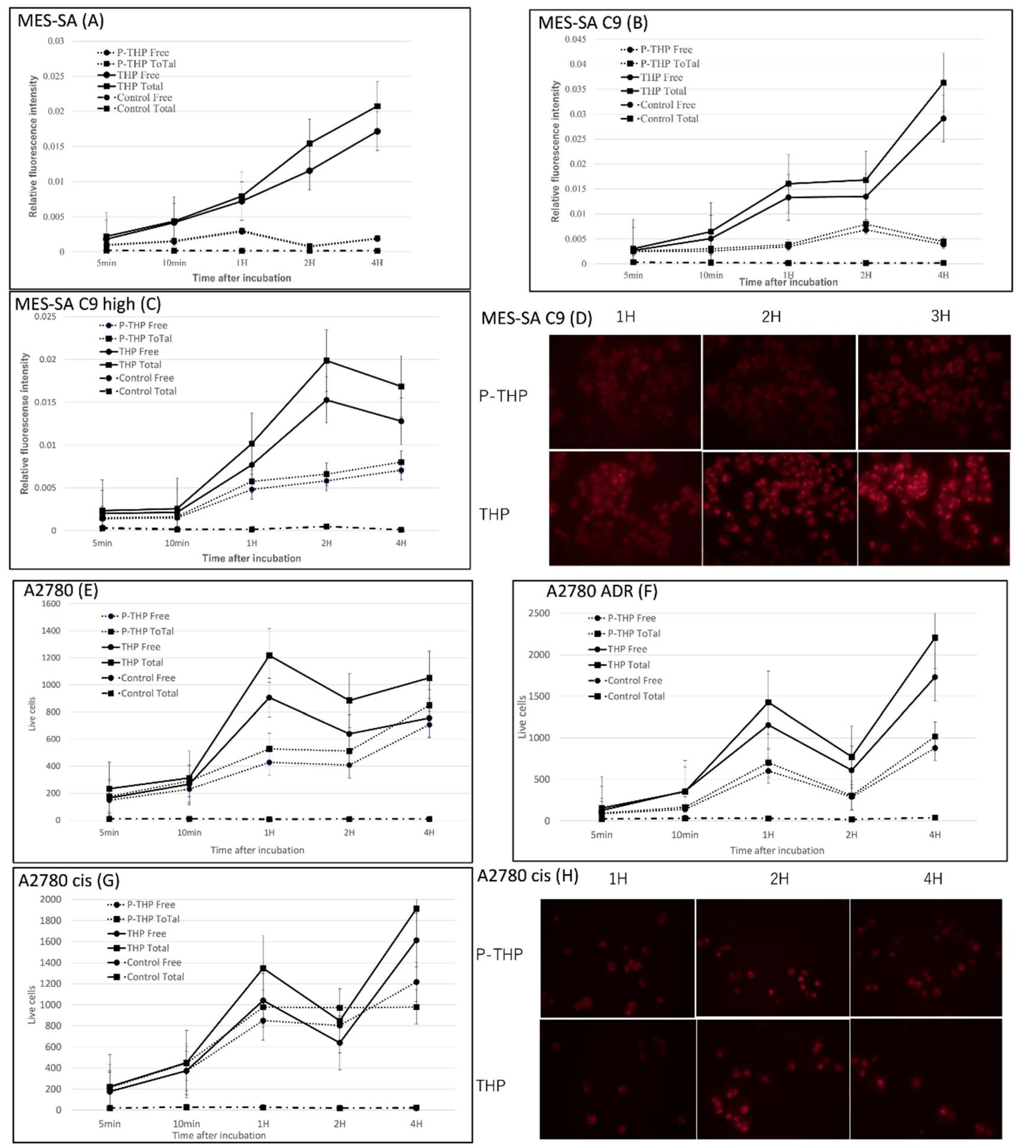 Jpm 12 00814 g002 Jpm 12 00814 g002