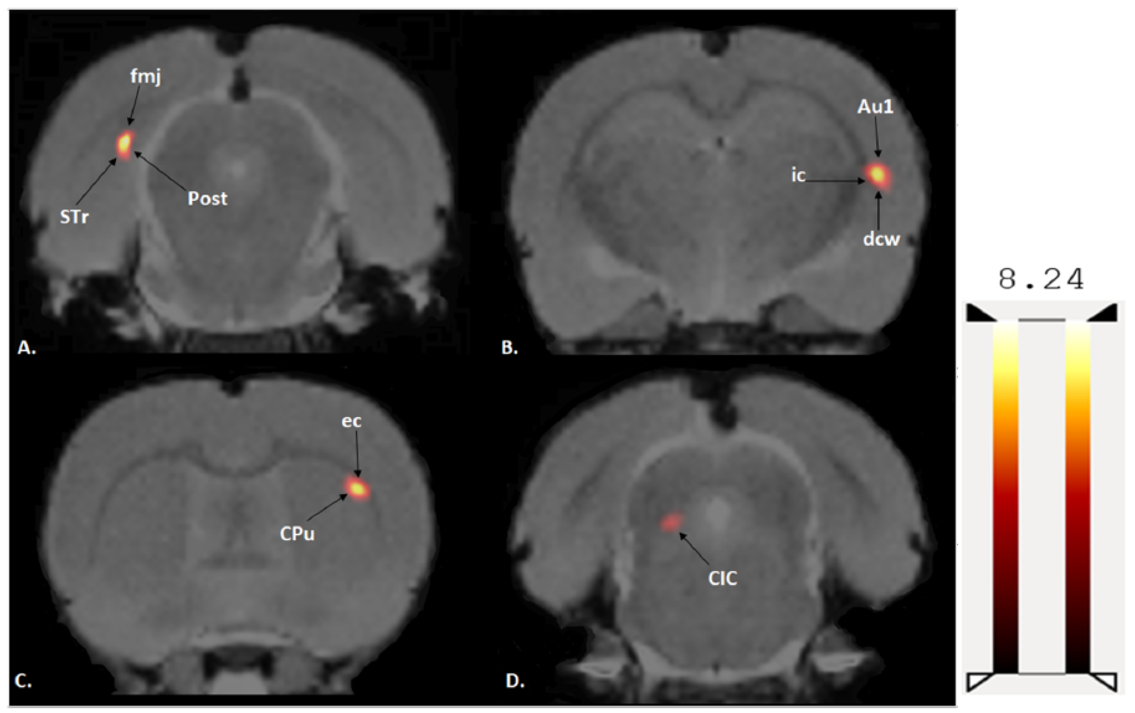 Jpm 12 00860 g003 Jpm 12 00860 g003