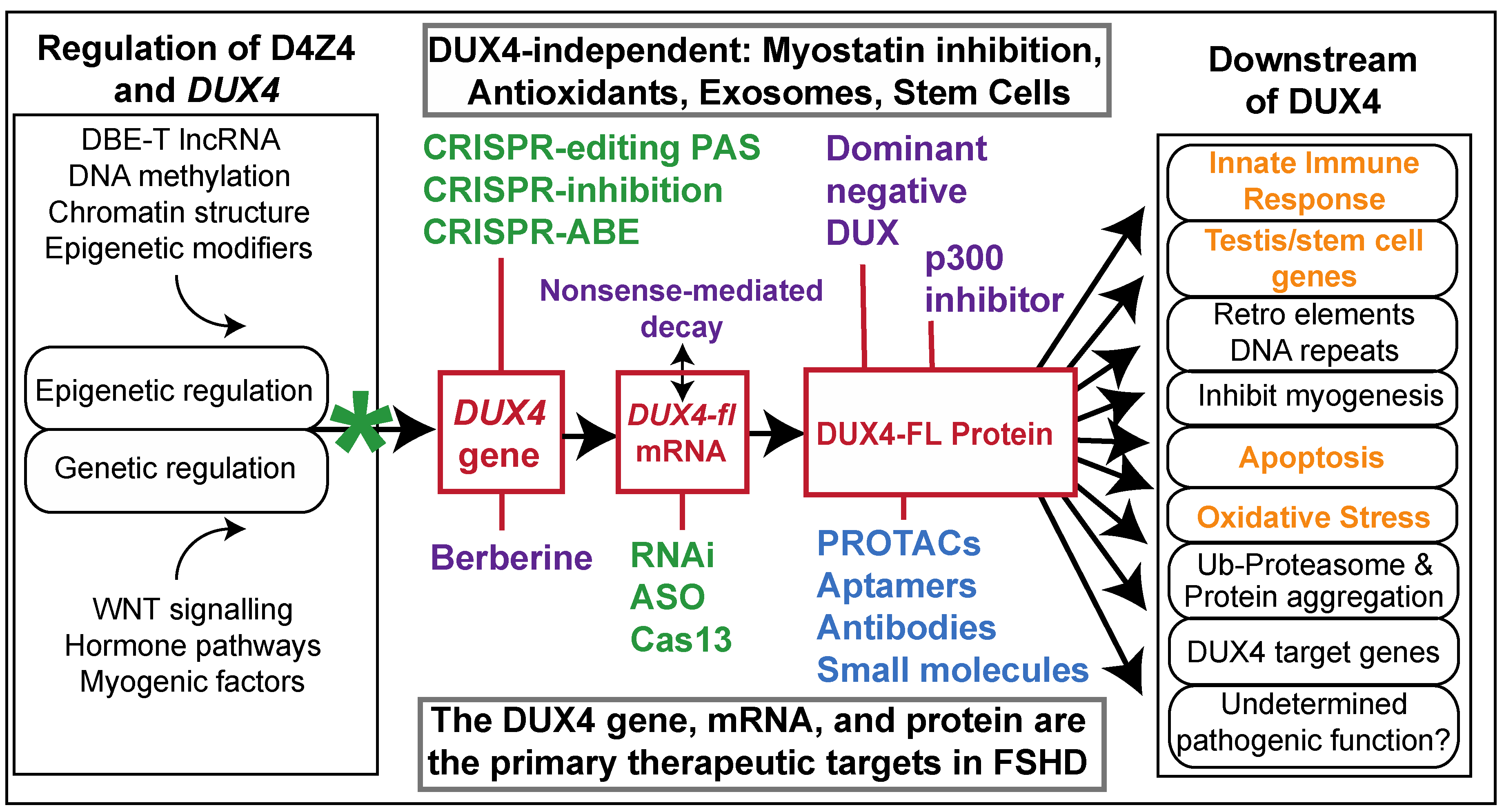 Jpm 12 00865 g001 Jpm 12 00865 g001