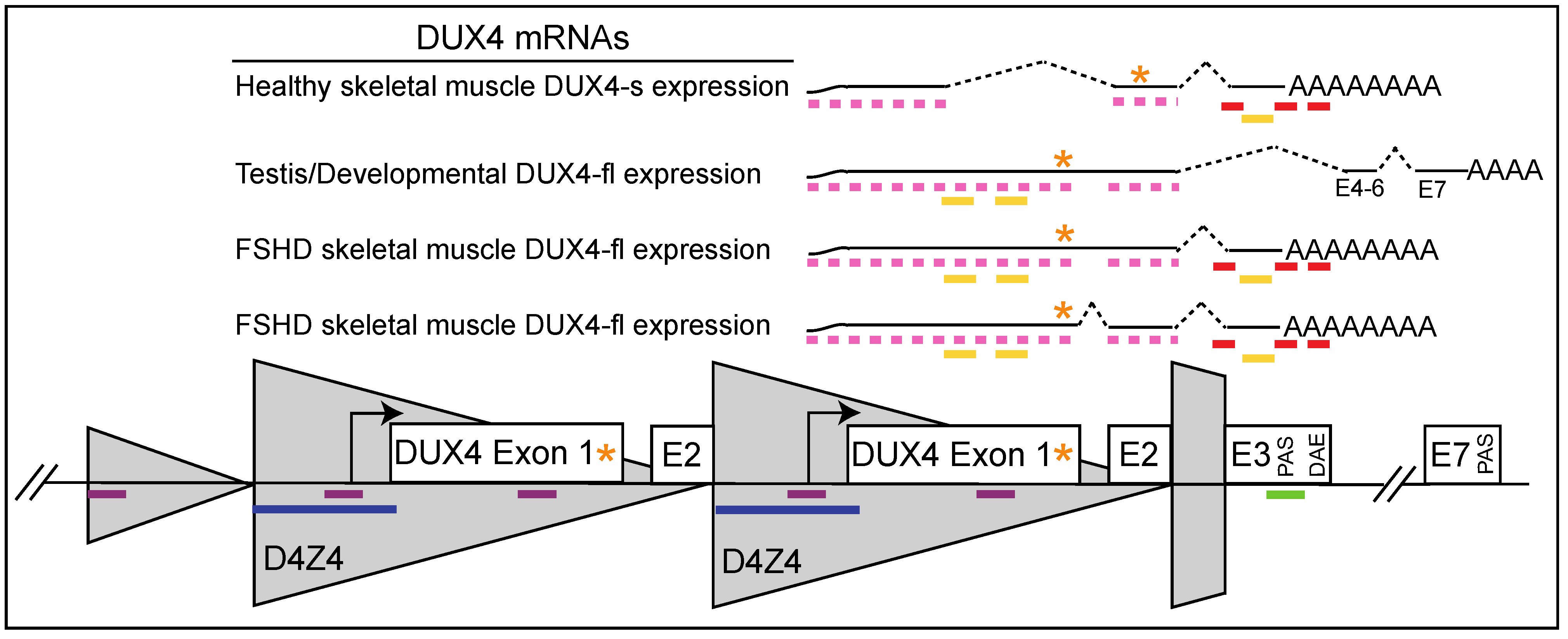 Jpm 12 00865 g002 Jpm 12 00865 g002