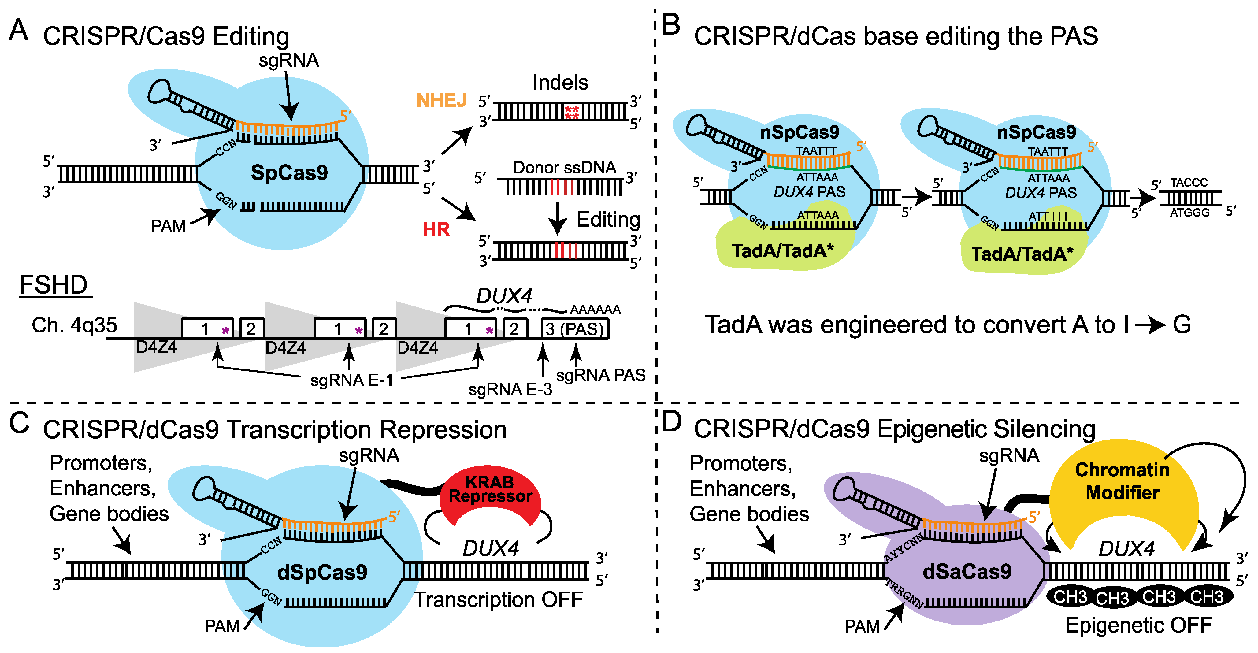 Jpm 12 00865 g003 Jpm 12 00865 g003