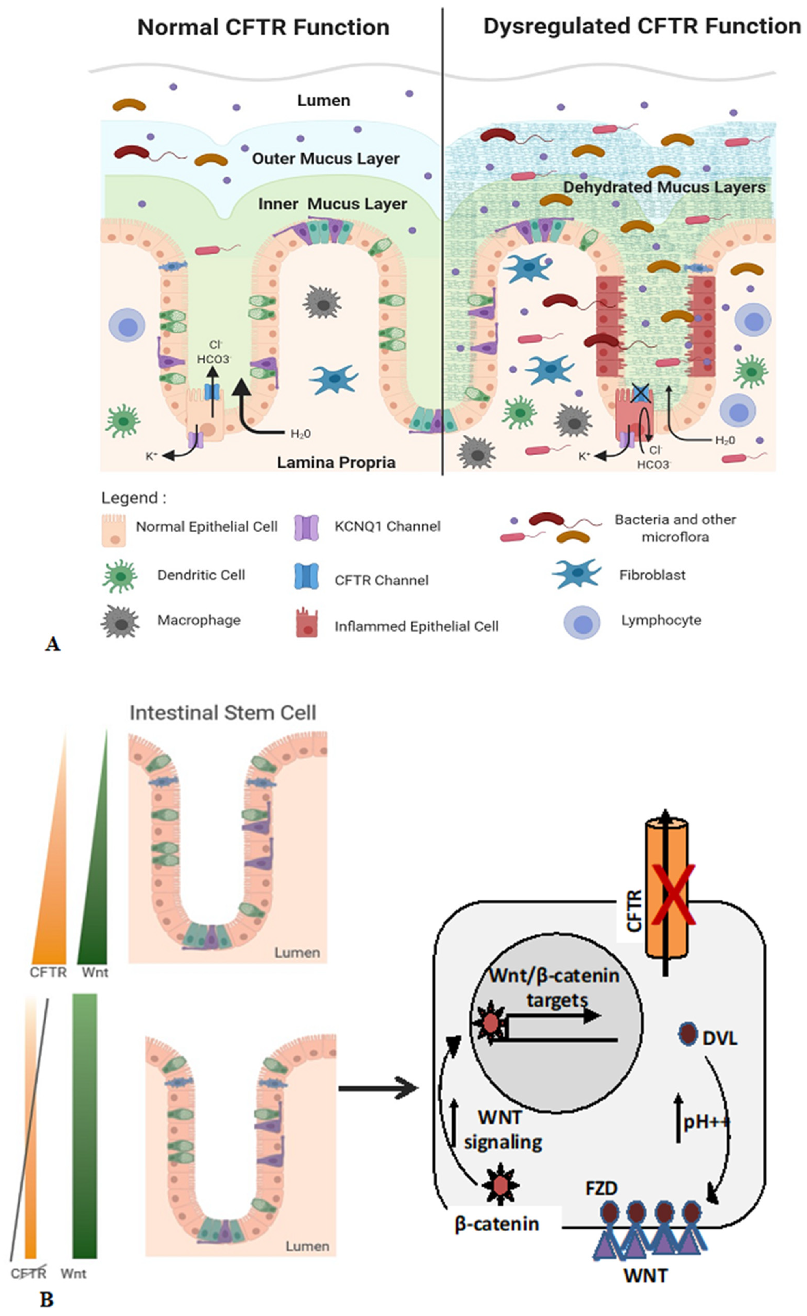 Jpm 12 00868 g001a Jpm 12 00868 g001a
