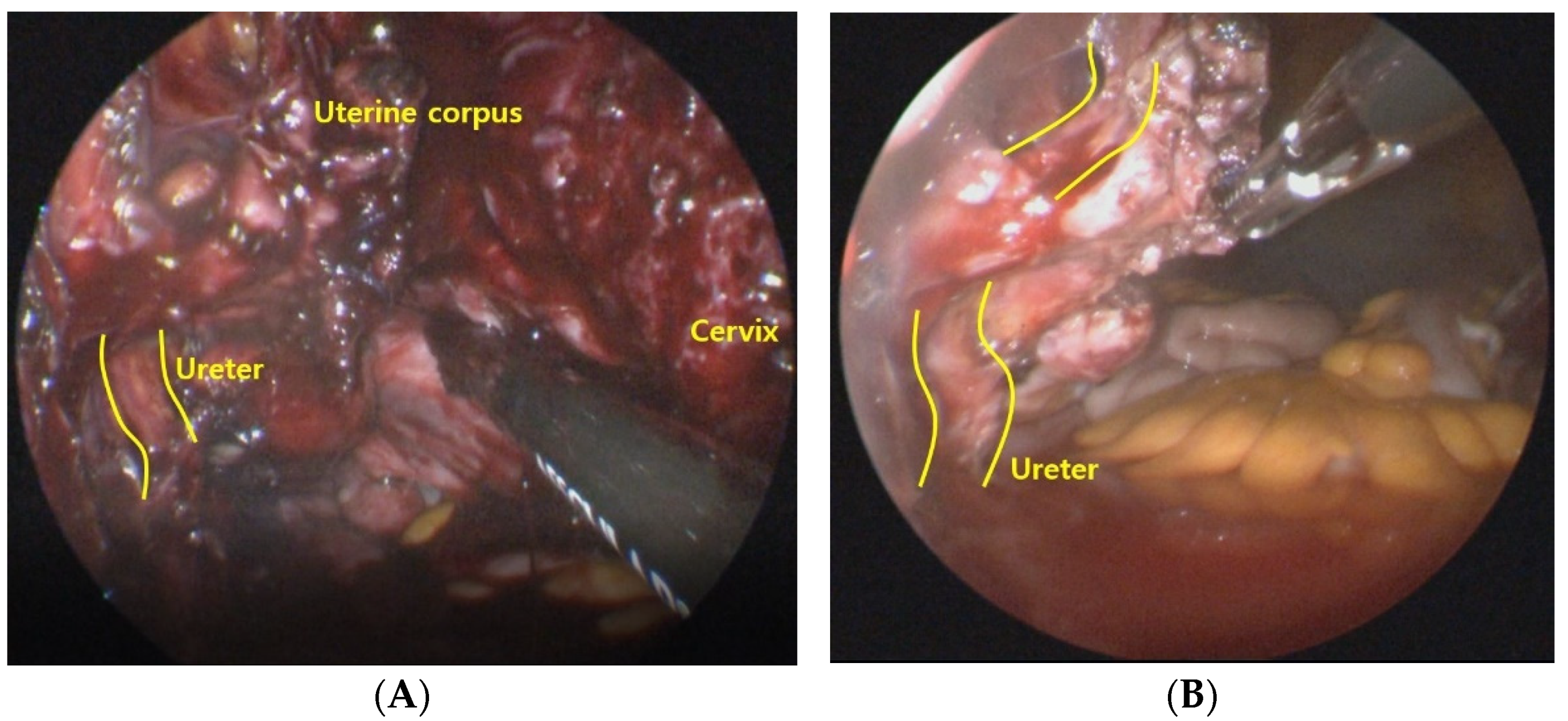 Jpm 12 00875 g003 550