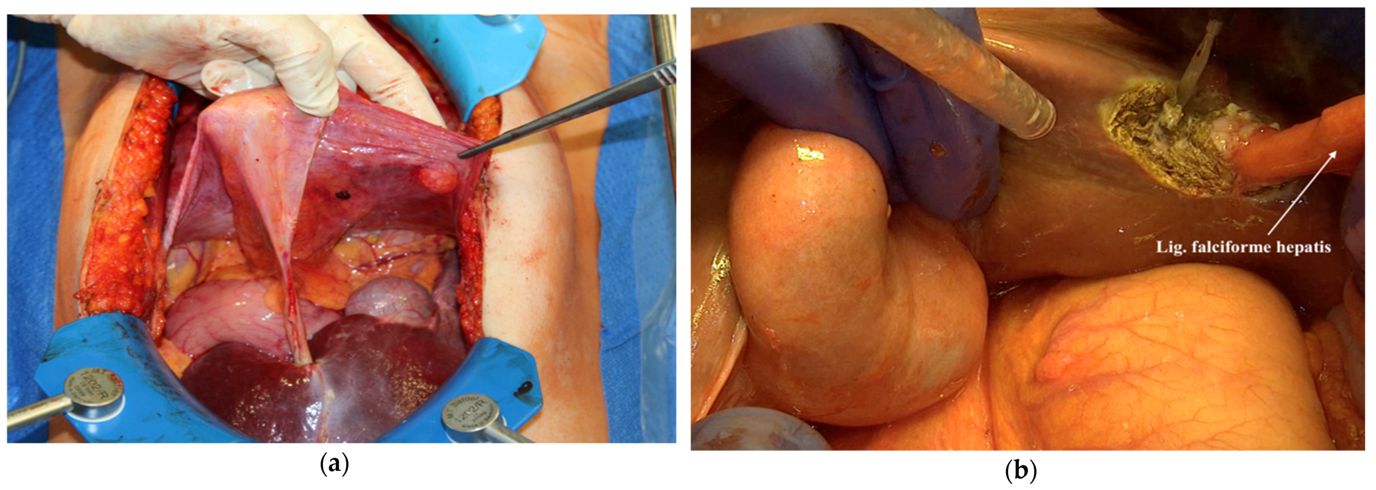 Jpm 12 00899 g007 550