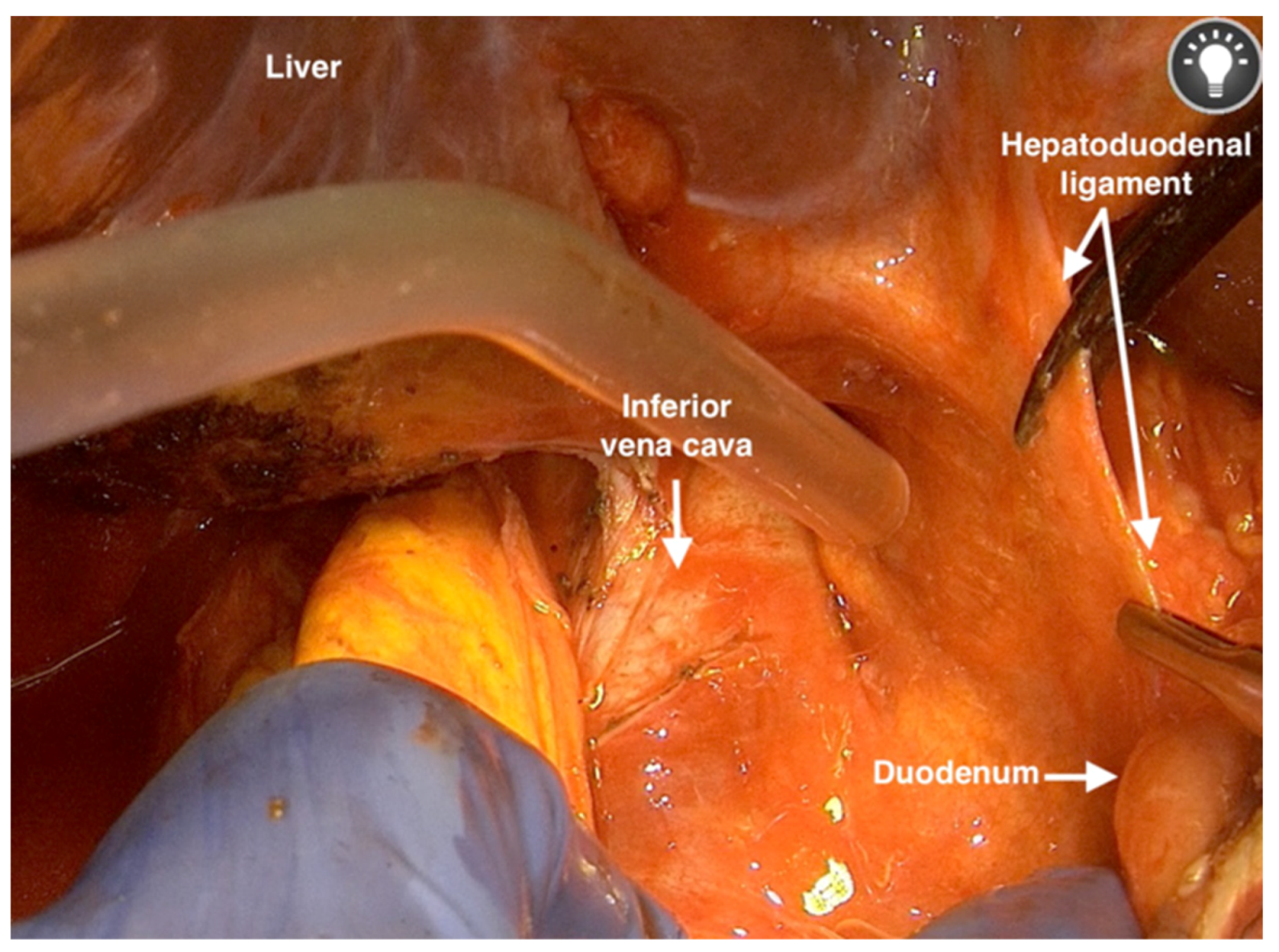 Jpm 12 00899 g008 550