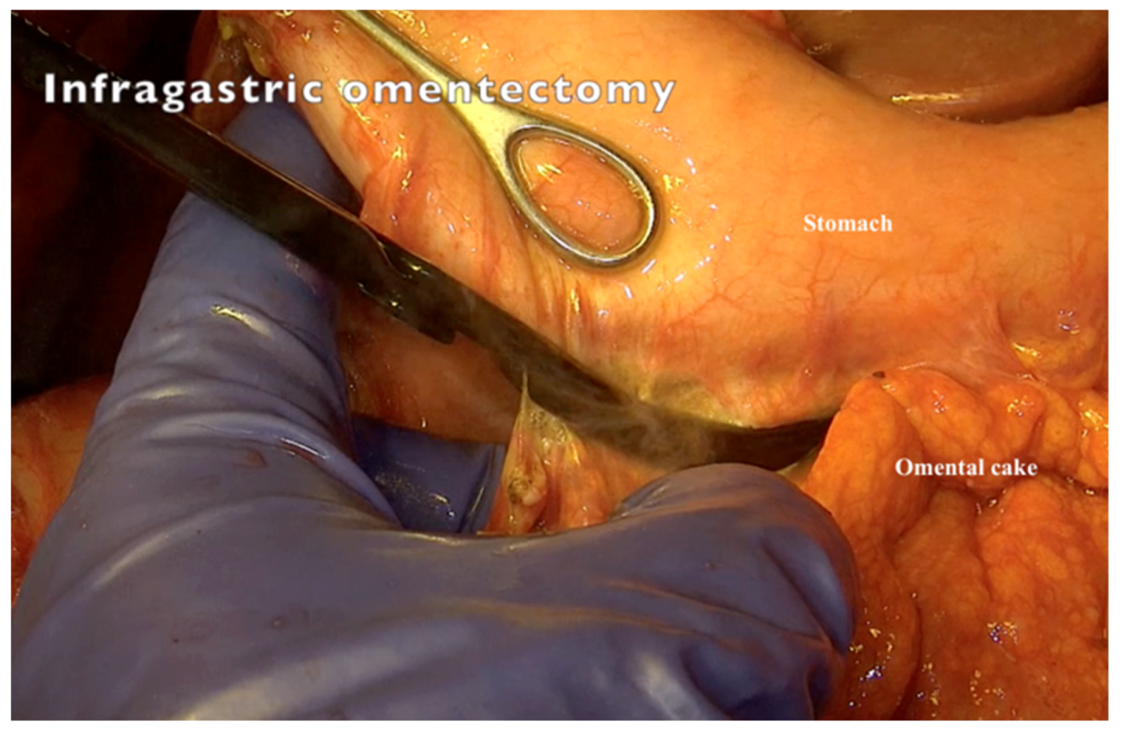 Jpm 12 00899 g009 550