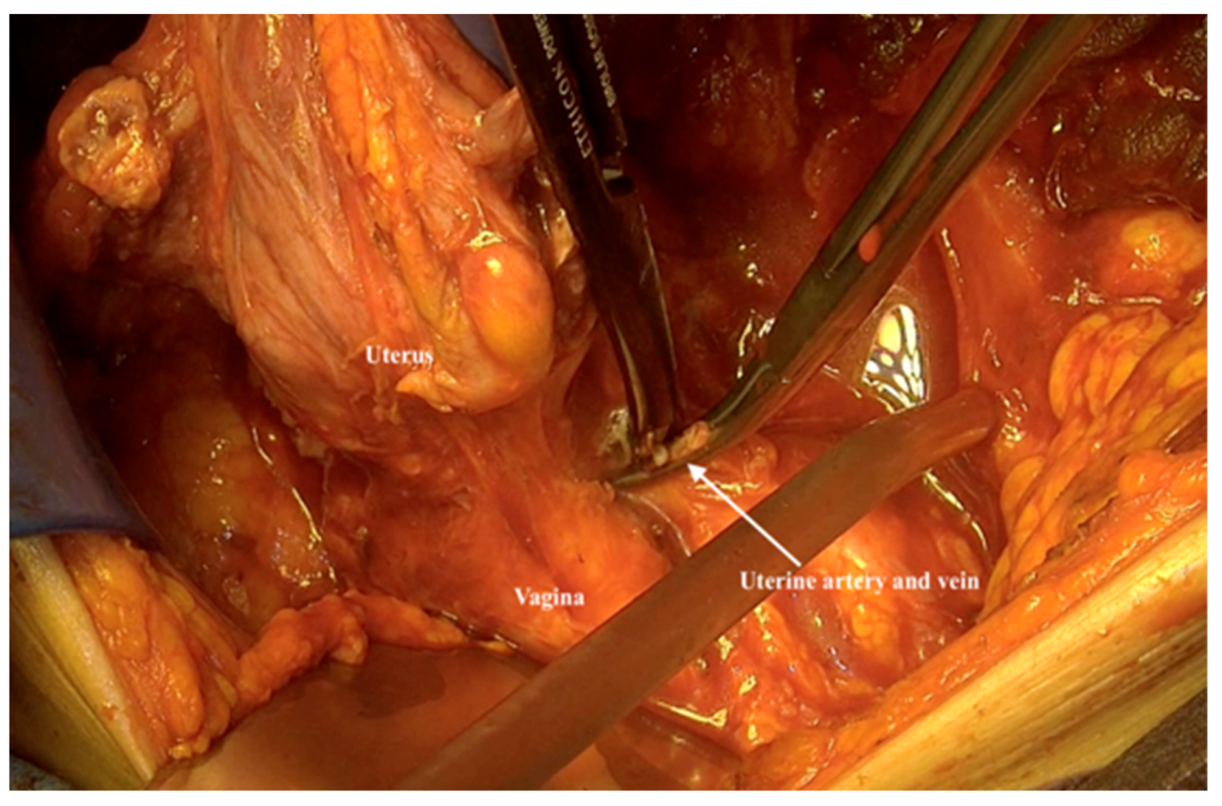 Jpm 12 00899 g016 550