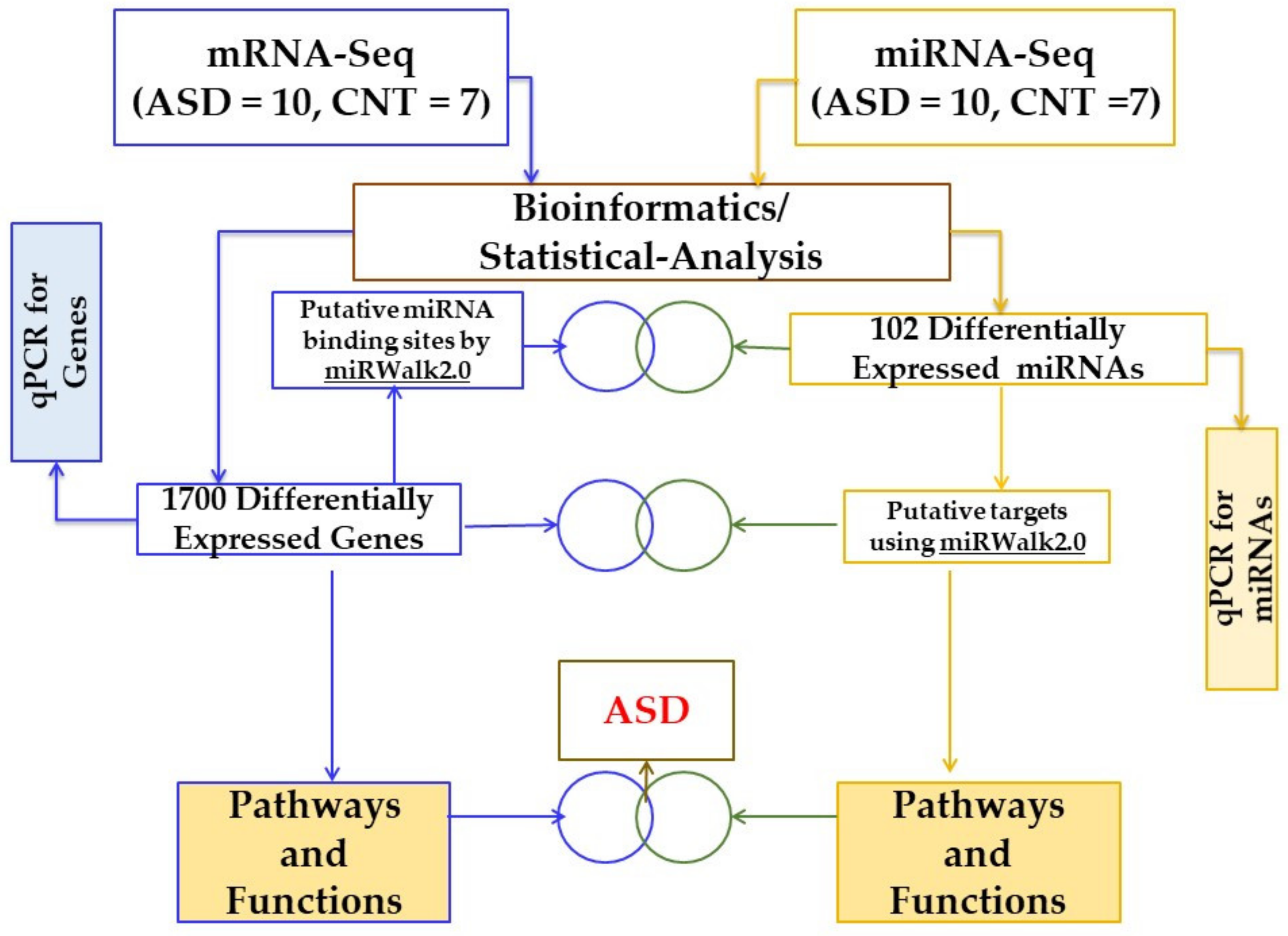 Jpm 12 00920 g001 Jpm 12 00920 g001