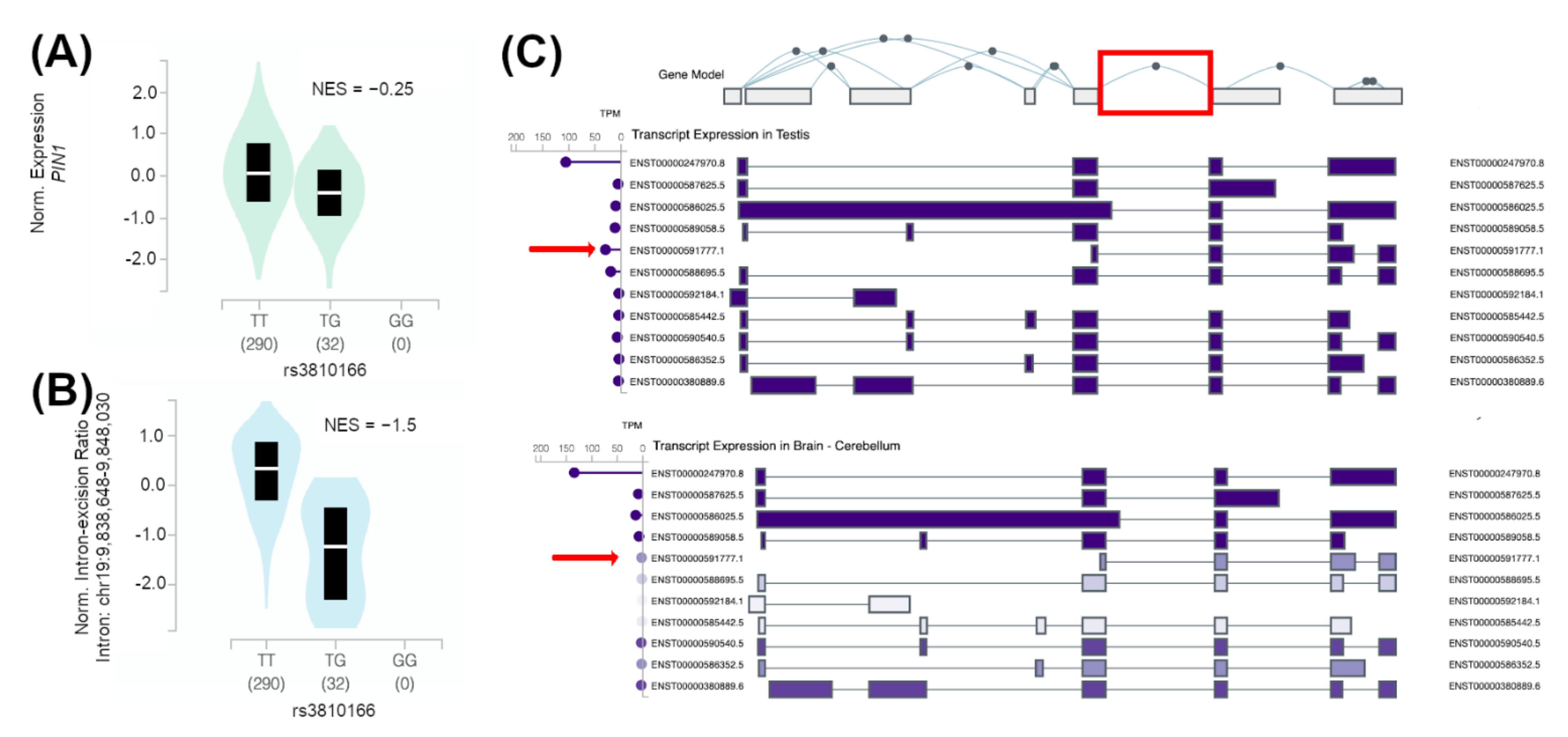 Jpm 12 00932 g002 Jpm 12 00932 g002