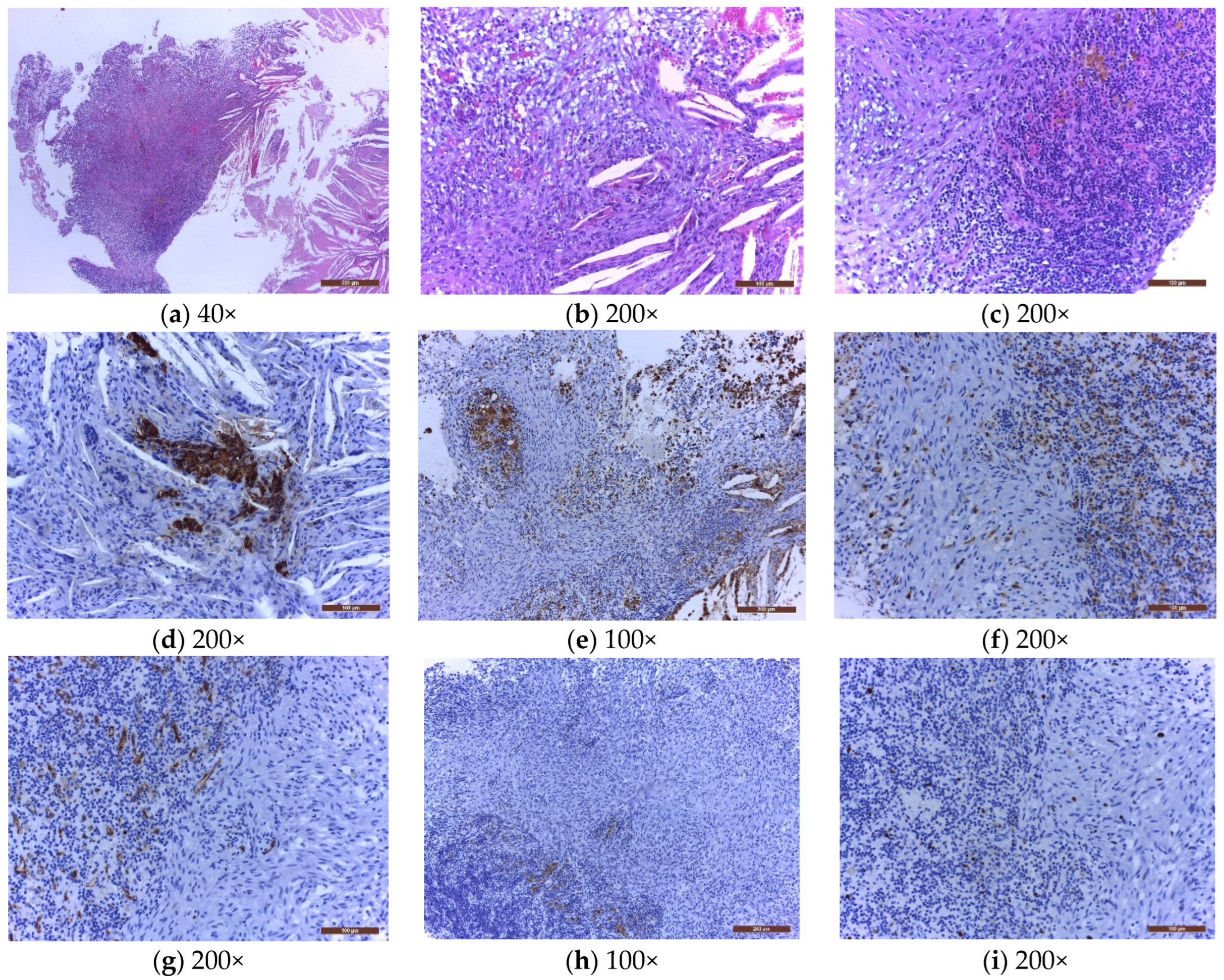 Jpm 12 00943 g001 Jpm 12 00943 g001