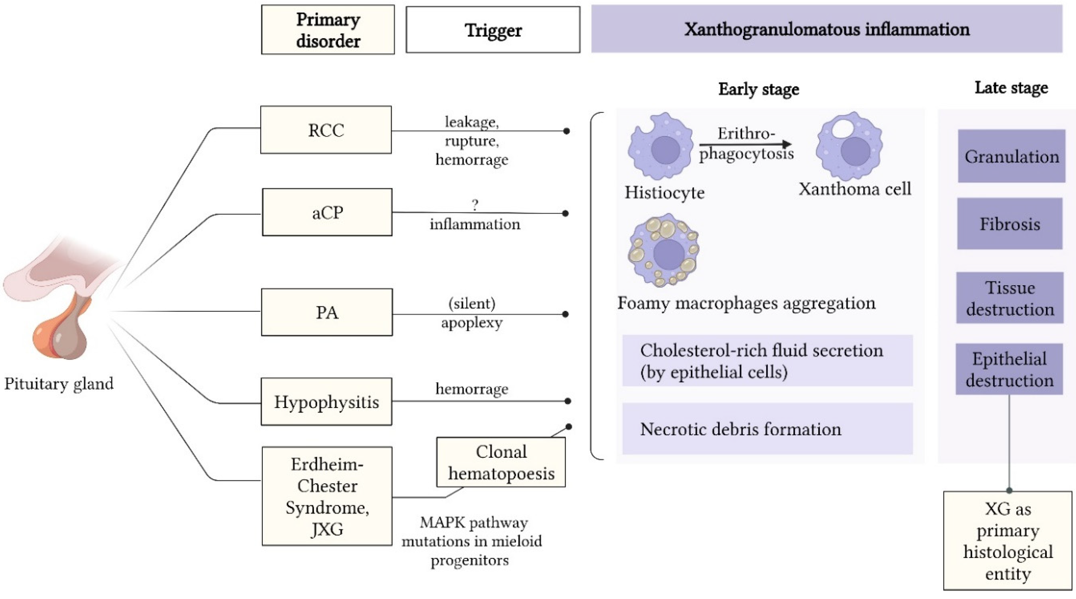Jpm 12 00943 g002 Jpm 12 00943 g002