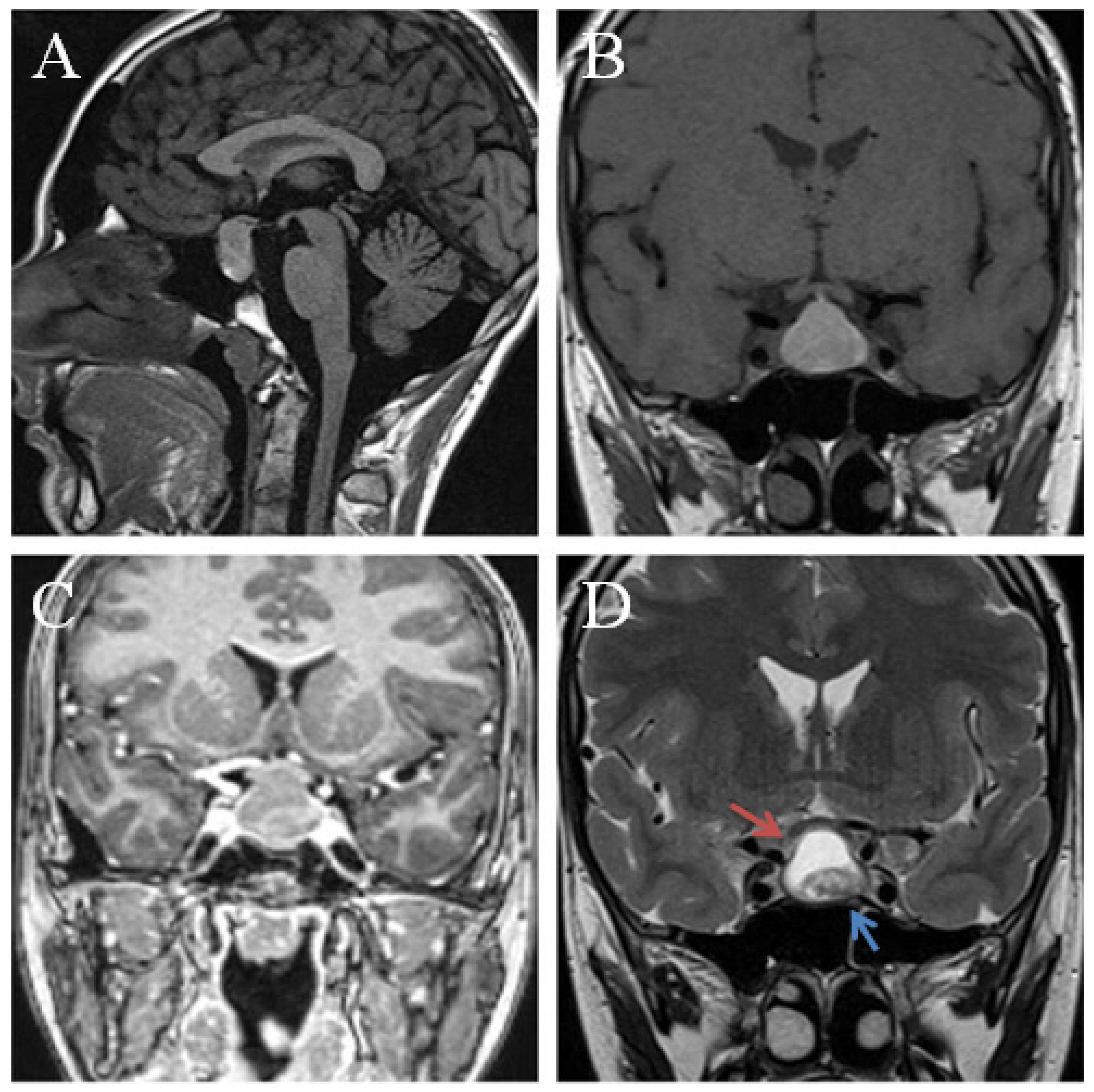Jpm 12 00943 g003 Jpm 12 00943 g003