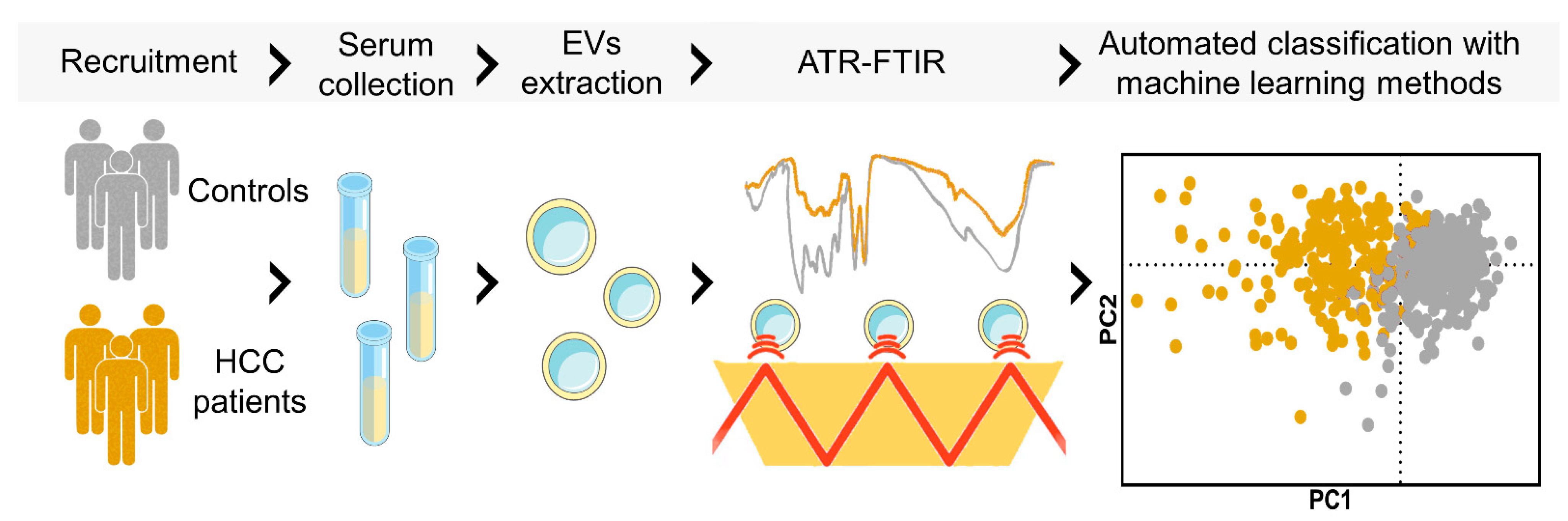Jpm 12 00949 g001 Jpm 12 00949 g001