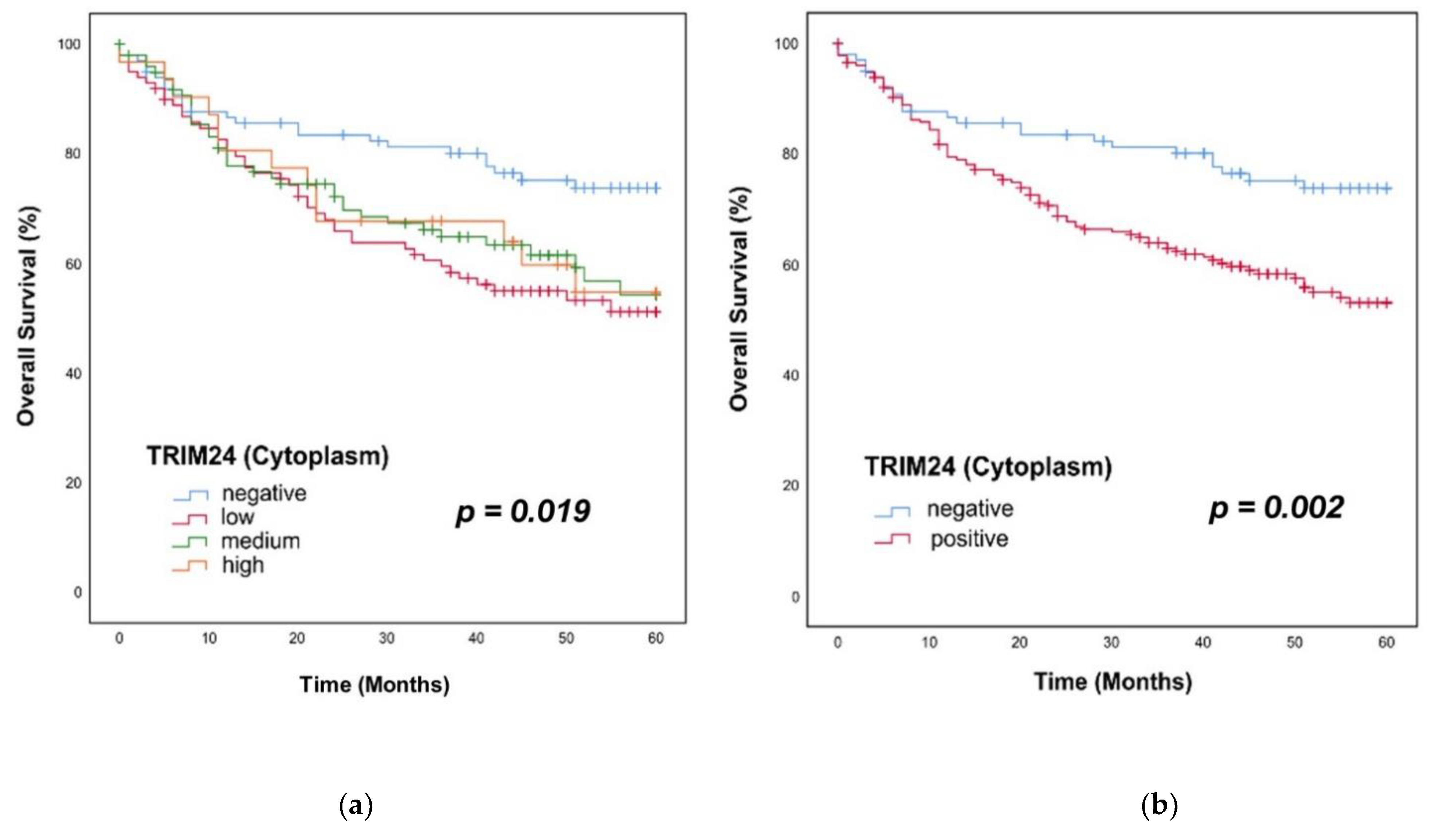 Jpm 12 00991 g005 550