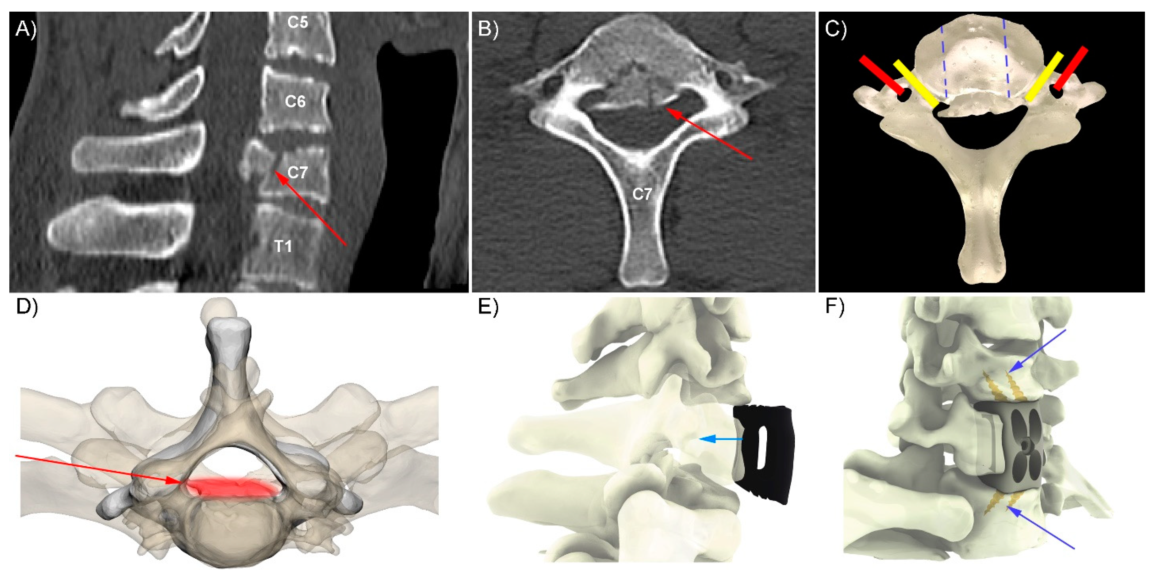 Jpm 12 00997 g001 Jpm 12 00997 g001
