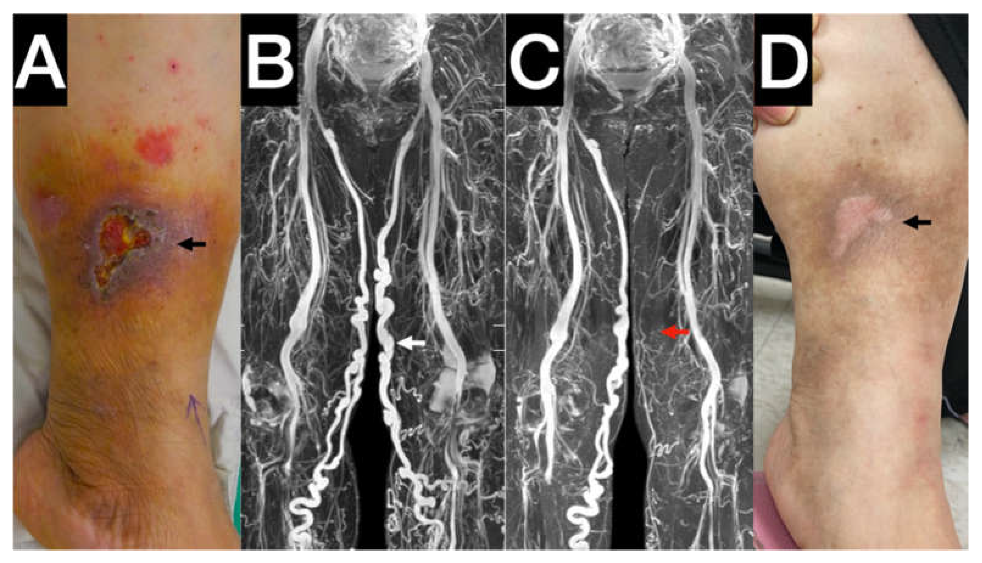 Jpm 12 01000 g002 Jpm 12 01000 g002