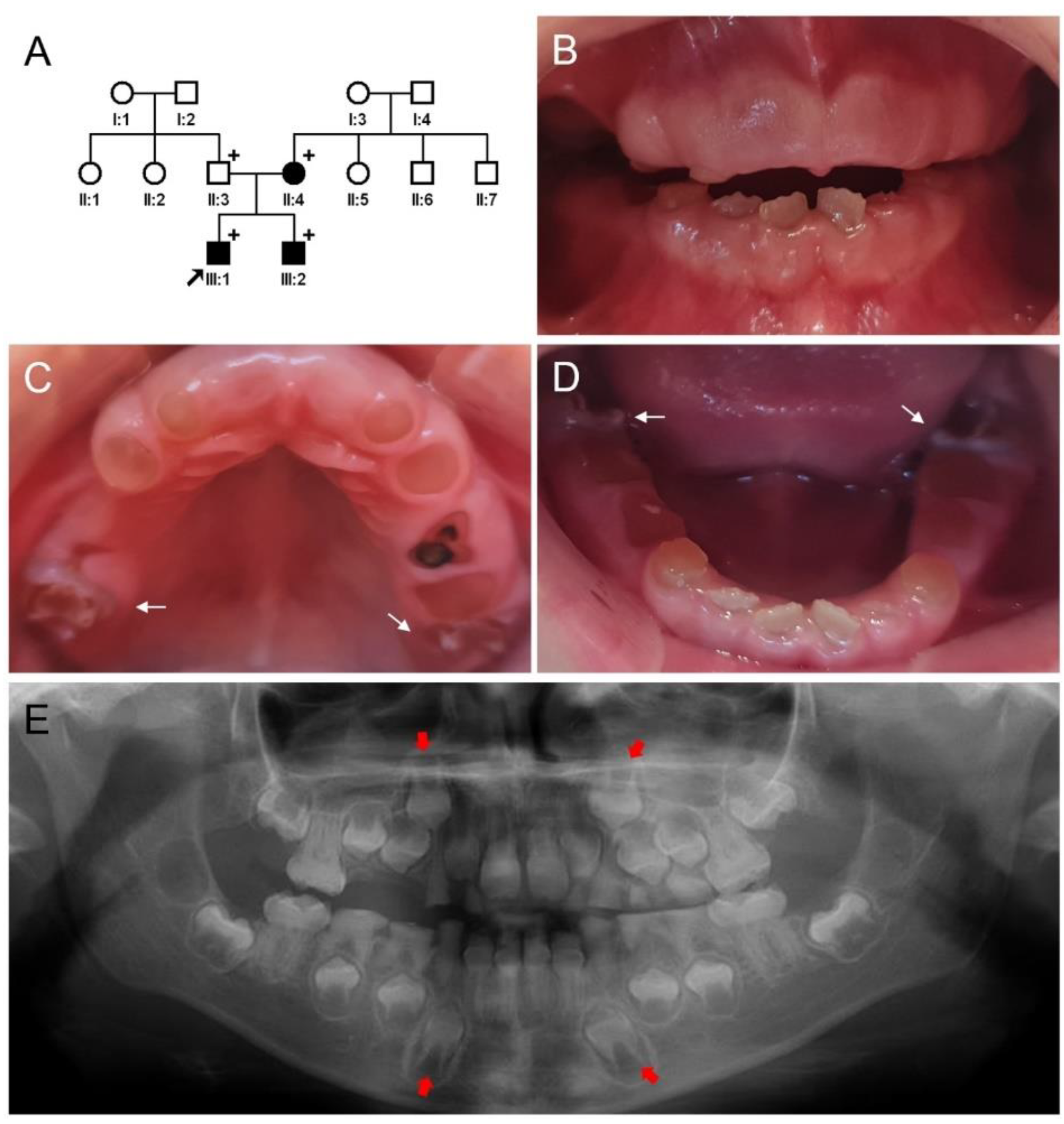 Jpm 12 01002 g001 Jpm 12 01002 g001