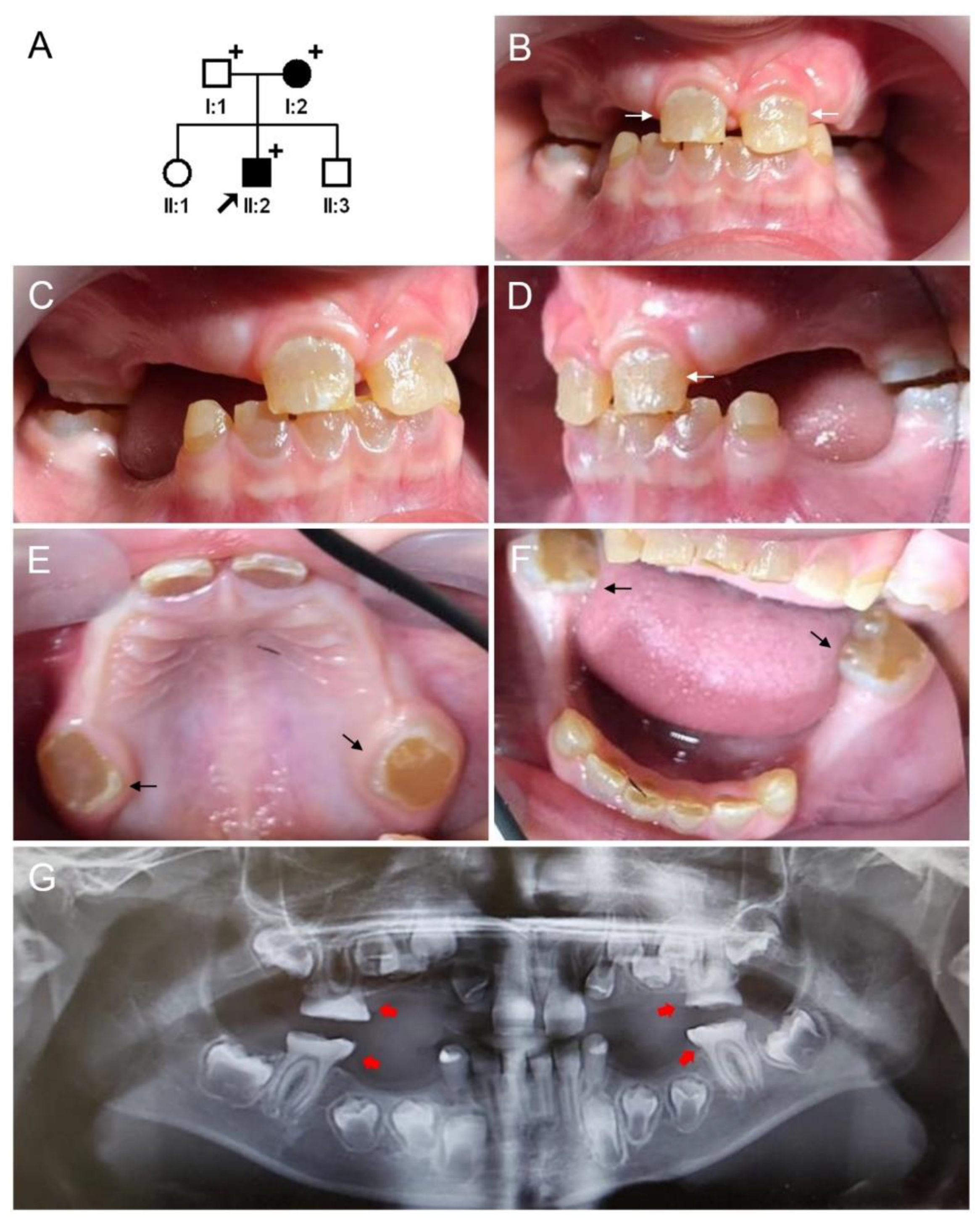Jpm 12 01002 g002 Jpm 12 01002 g002