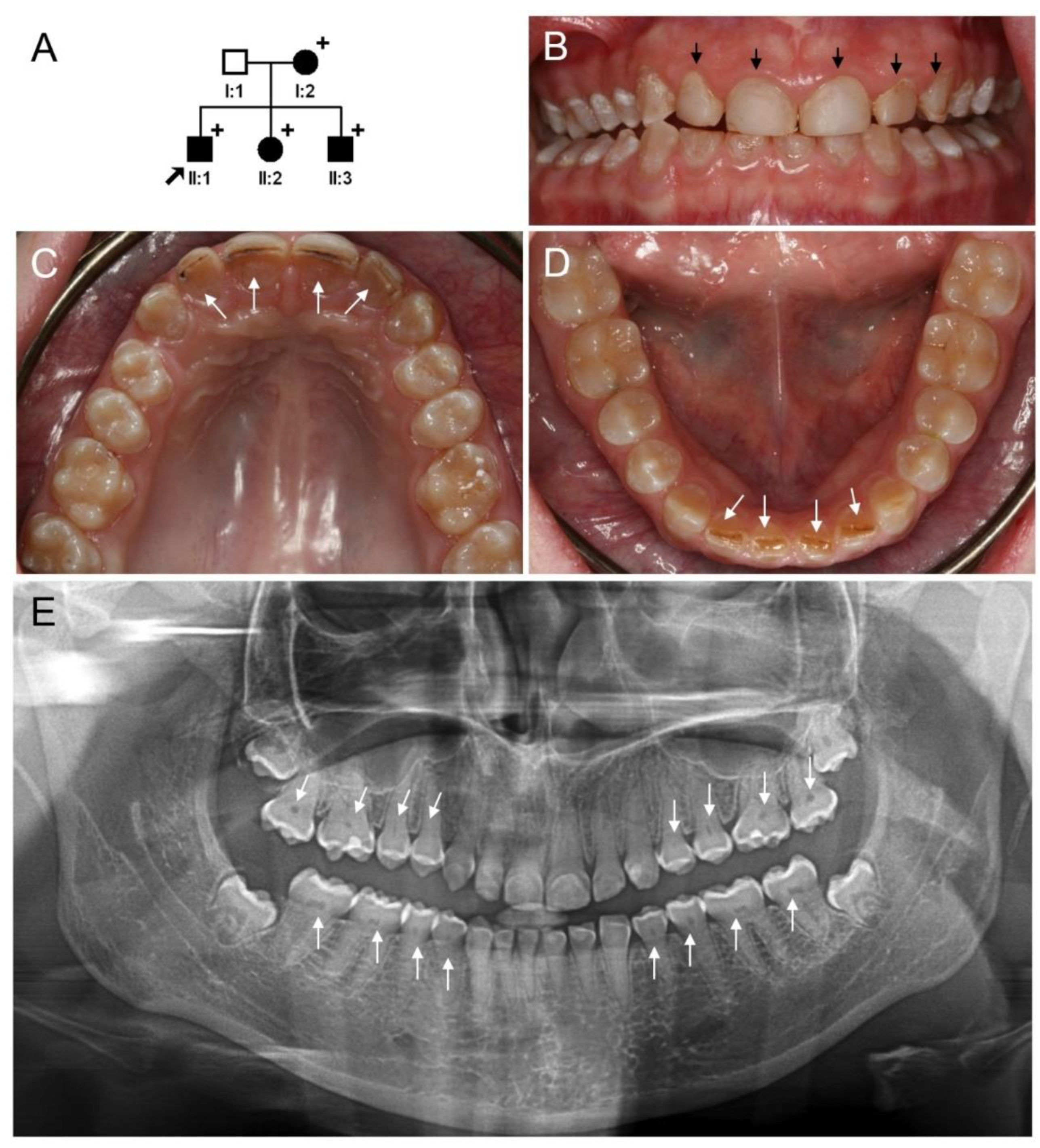 Jpm 12 01002 g003 Jpm 12 01002 g003