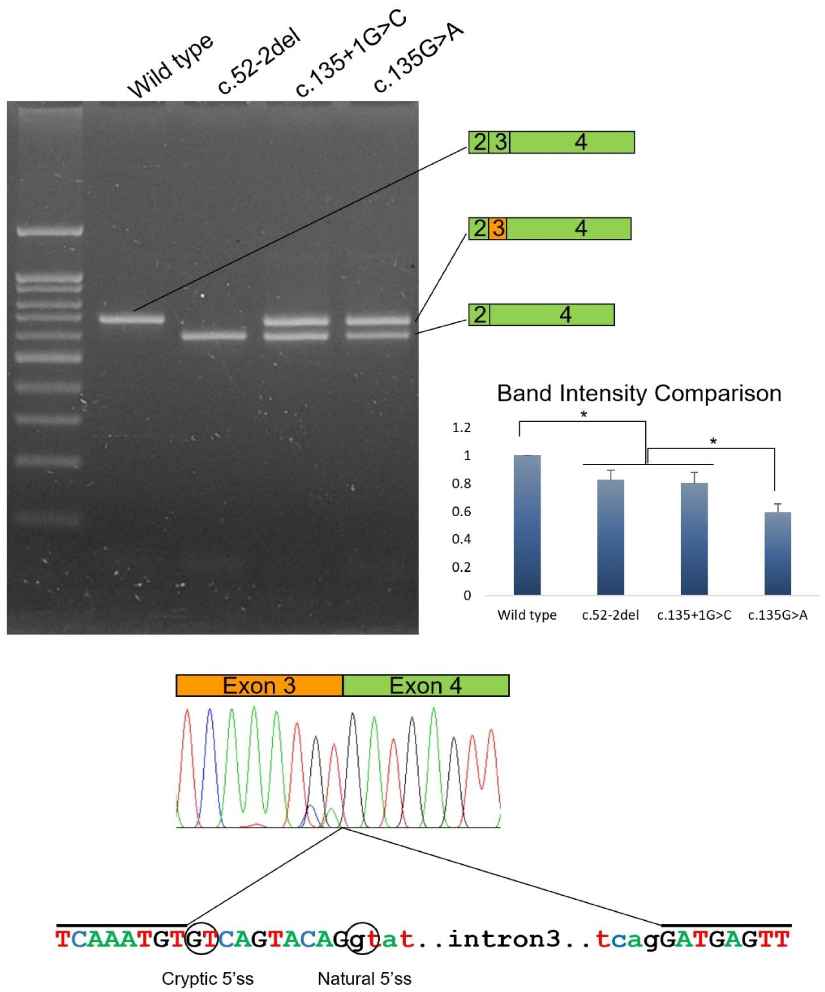 Jpm 12 01002 g004 Jpm 12 01002 g004
