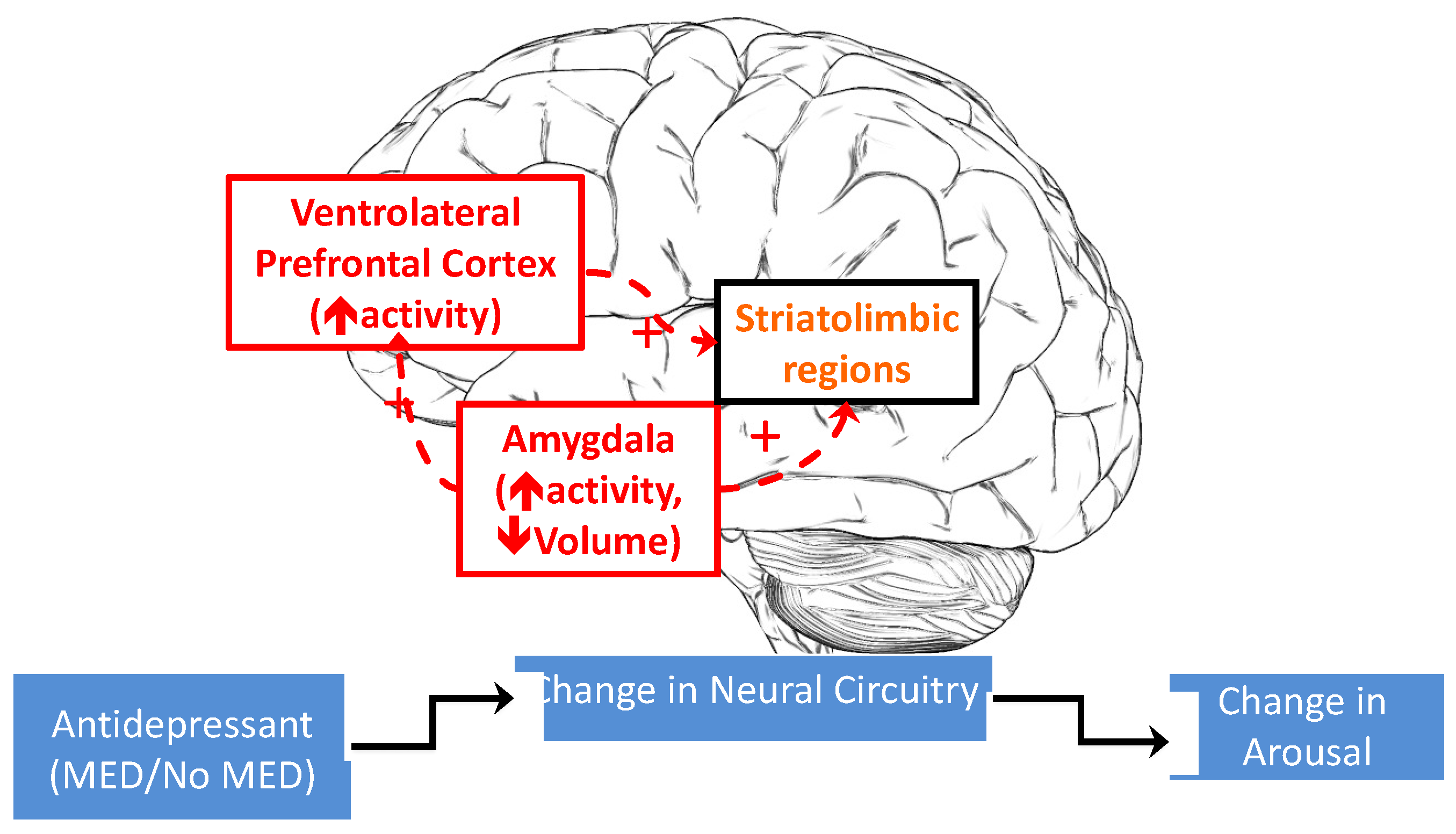 Jpm 12 01006 g002 Jpm 12 01006 g002