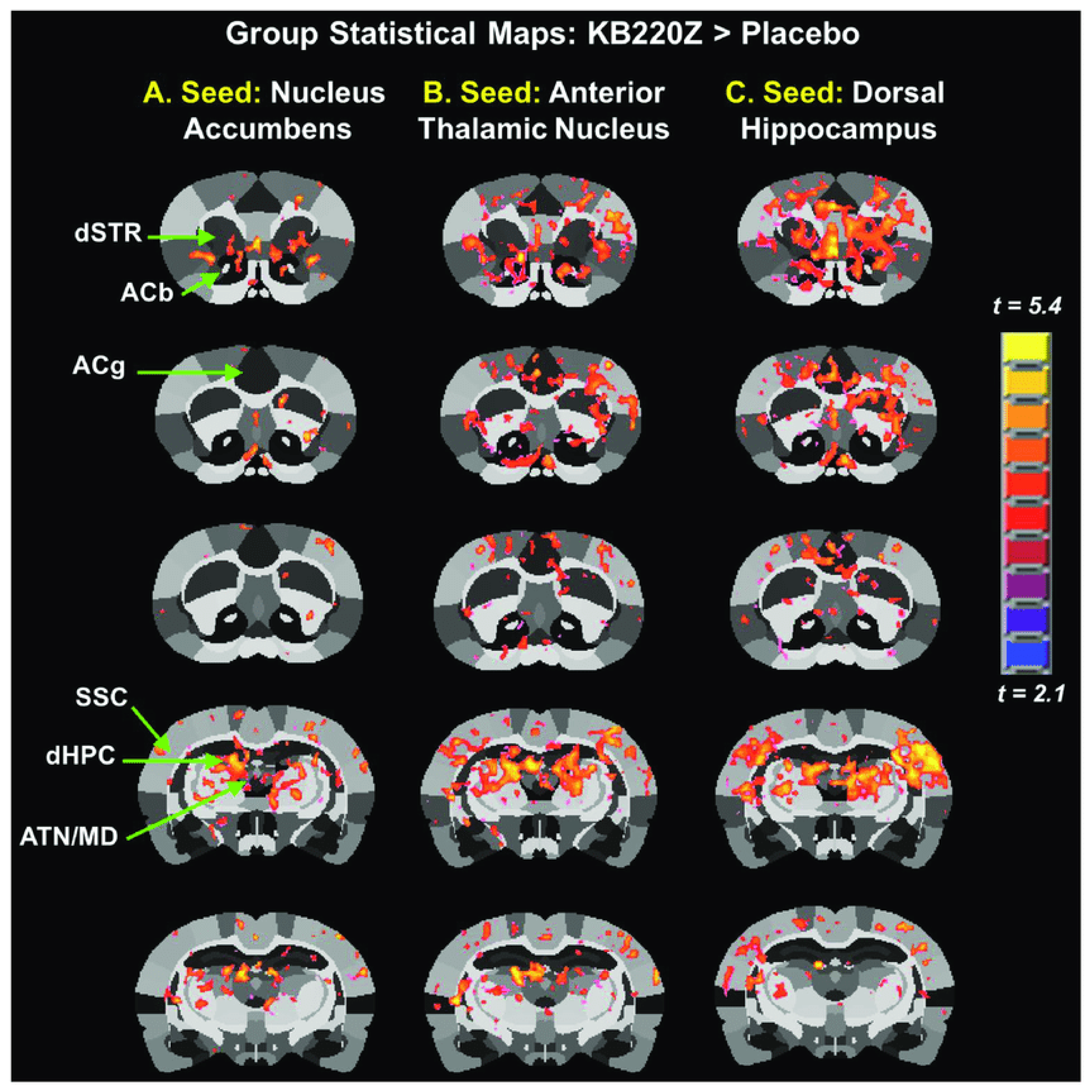 Jpm 12 01009 g002 Jpm 12 01009 g002