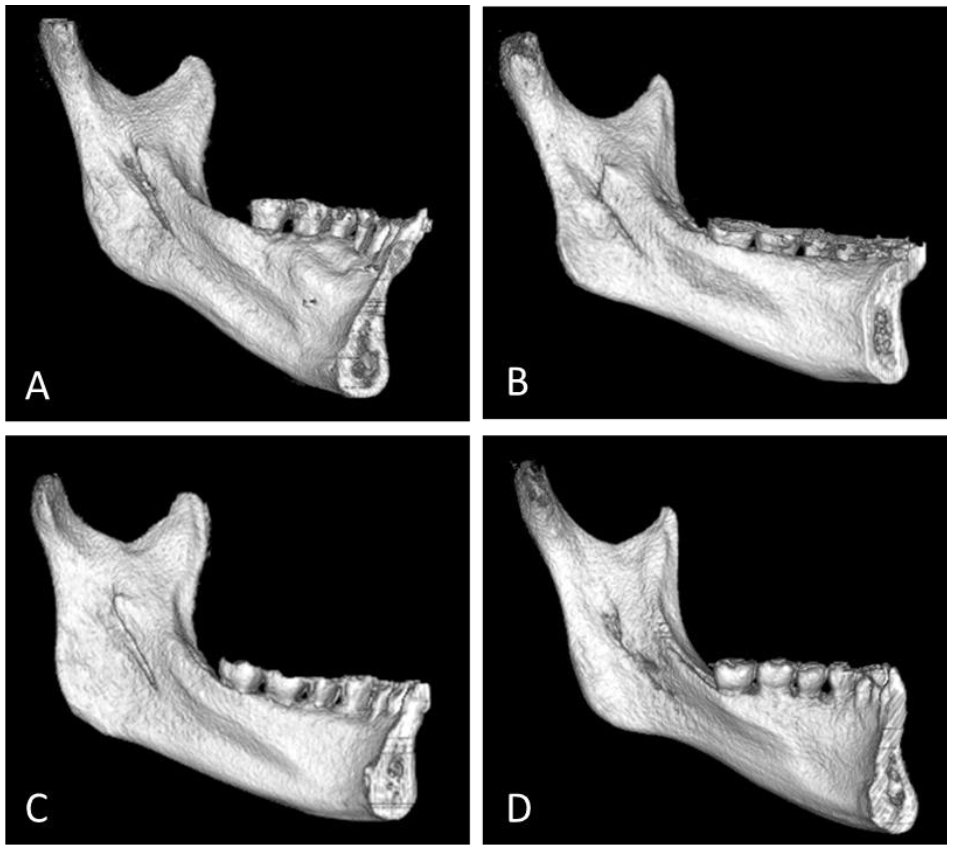 Jpm 12 01015 g001 550