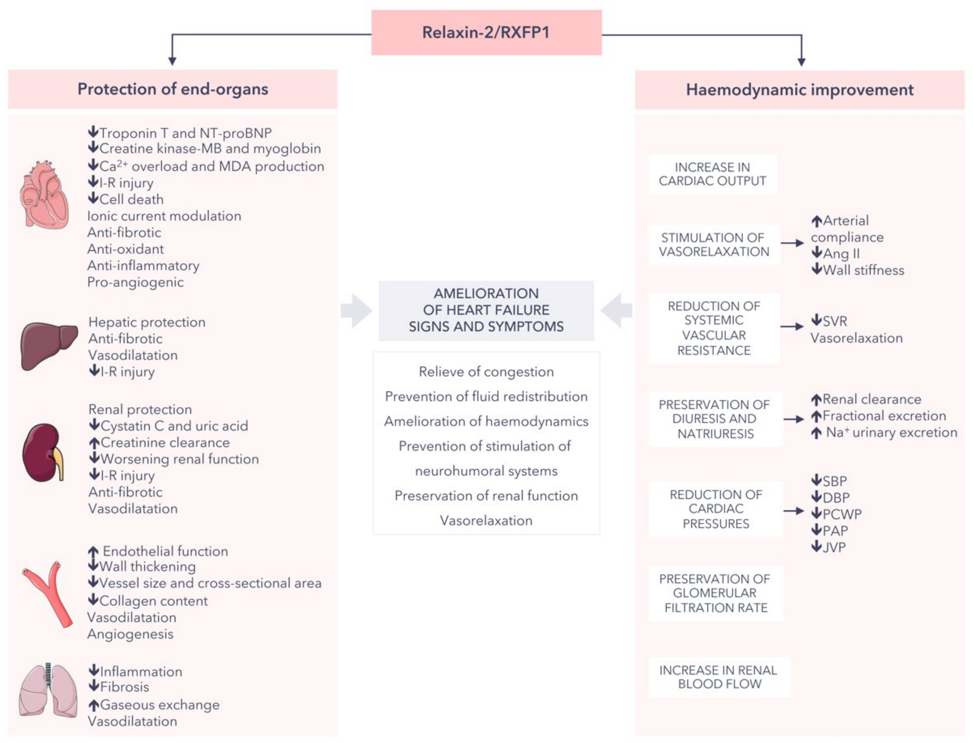 Jpm 12 01021 g002 Jpm 12 01021 g002