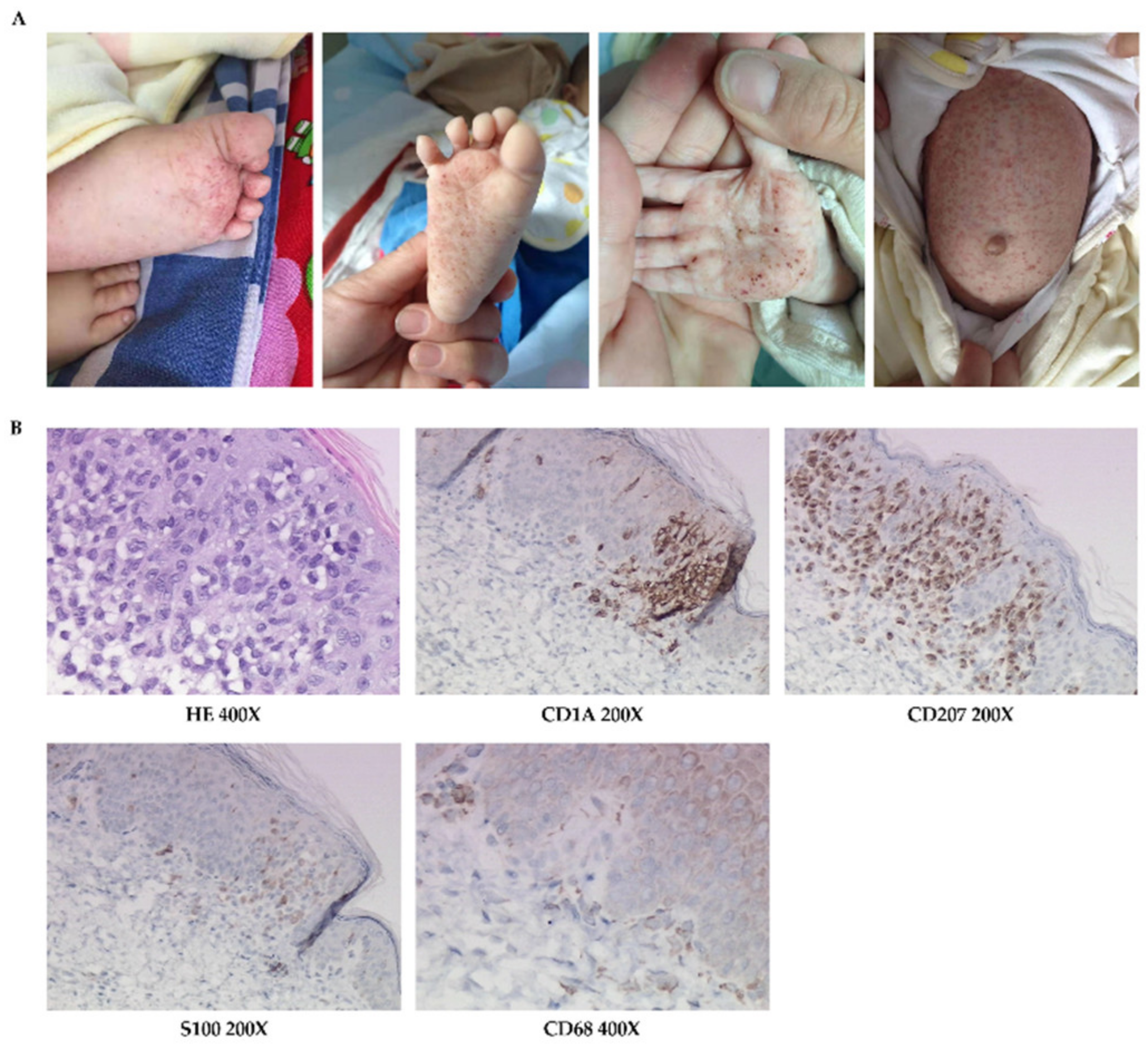 Jpm 12 01024 g002 550